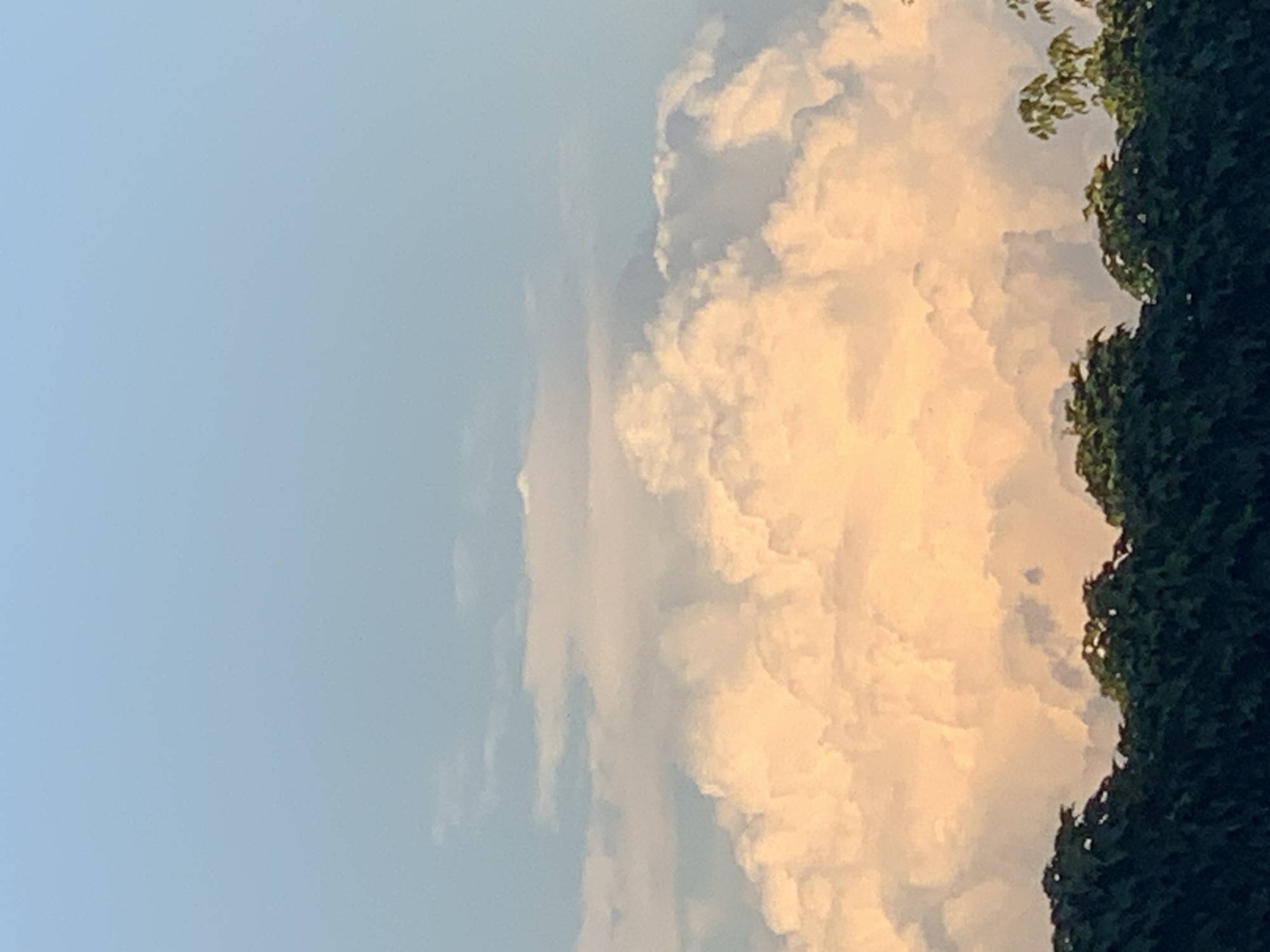 The image shows a view of the sky above a line of trees. The sky is a pale blue, with large, fluffy white and orange clouds dominating the mid-section of the frame. The clouds appear to be lit from behind by the sun, creating a warm glow. The trees at the bottom of the image are dark green and lush, forming a dense canopy against the bright sky. The overall scene suggests a serene natural landscape, possibly at sunset or sunrise, due to the warm hues of the clouds. No people or man-made structures are visible.