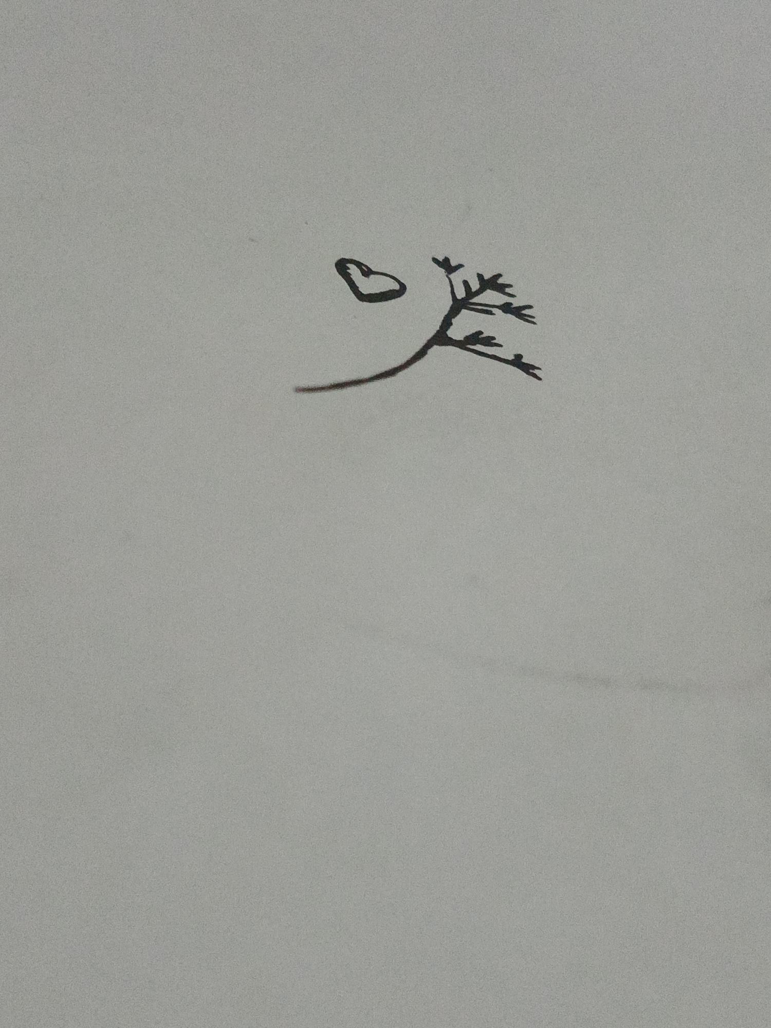 A black ink drawing on white paper shows a heart shape connected to a twig-like branch with small, angular offshoots resembling leaves. The drawing is situated in the upper portion of the paper, leaving a large expanse of blank space below. The image provides no clues as to its location in Los Robles, Venezuela, or any other specific environment.
