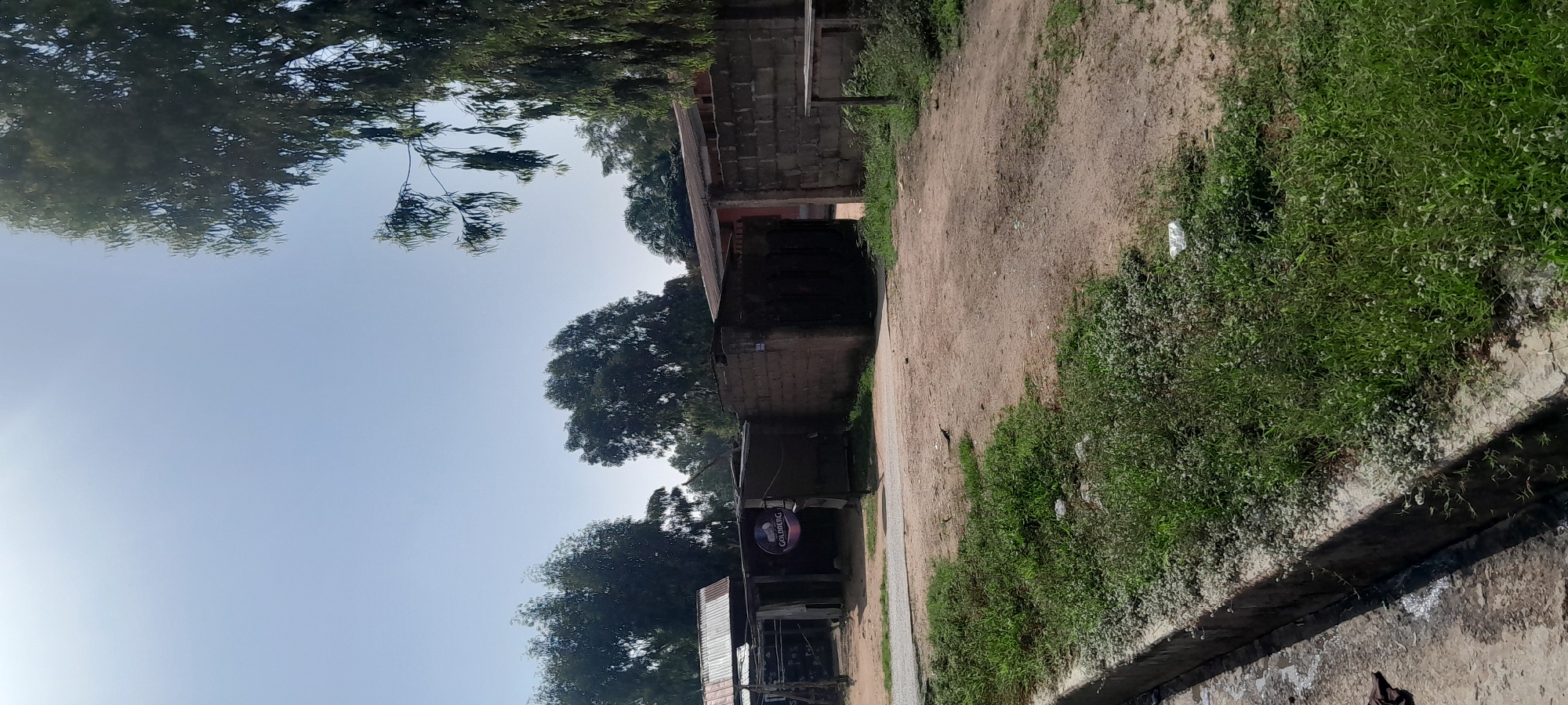 The image depicts an outdoor scene, likely in Jalingo, Nigeria, characterized by a mix of structures and vegetation under a clear sky. In the foreground, a concrete drainage channel runs along the left side, bordered by overgrown grass with small white flowers. The ground surface is a mix of dirt and gravel, with patches of grass.
Further into the scene, there are several low-lying structures constructed from concrete blocks and corrugated metal roofing. One structure on the left has a corrugated metal roof and appears to be an open-sided shelter. Prominently displayed on the front of one of these structures is a circular sign with the brand name "GOLDBERG" in white letters, set against a dark background with a purple circular emblem.
Behind these initial structures, more concrete block buildings are visible, some with dark, recessed doorways or openings. A wooden bench or table is situated to the right of the scene, next to a concrete block wall. Dense green trees and foliage are present throughout the background, with the tops of some taller trees reaching towards the bright, hazy sky. The overall impression is of an informal commercial or residential area with signs of ongoing activity or use. No people are visible in the image.