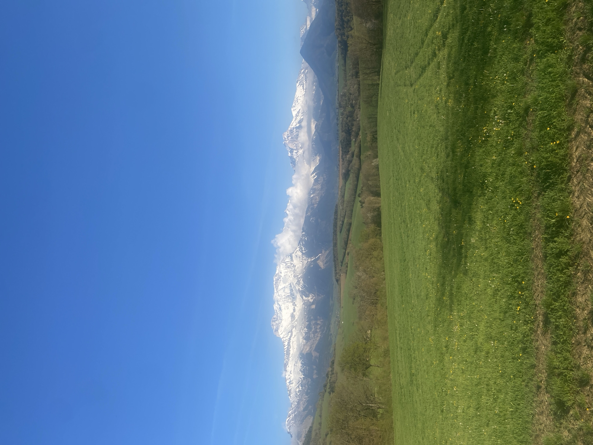 The image depicts a landscape near Cornillon-en-Trièves, France. A field of green grass dominates the foreground, transitioning to a treeline before reaching snow-capped mountains in the background. A clear blue sky occupies the left side of the image. No people or animals are visible. The scene is outdoors and bathed in daylight.