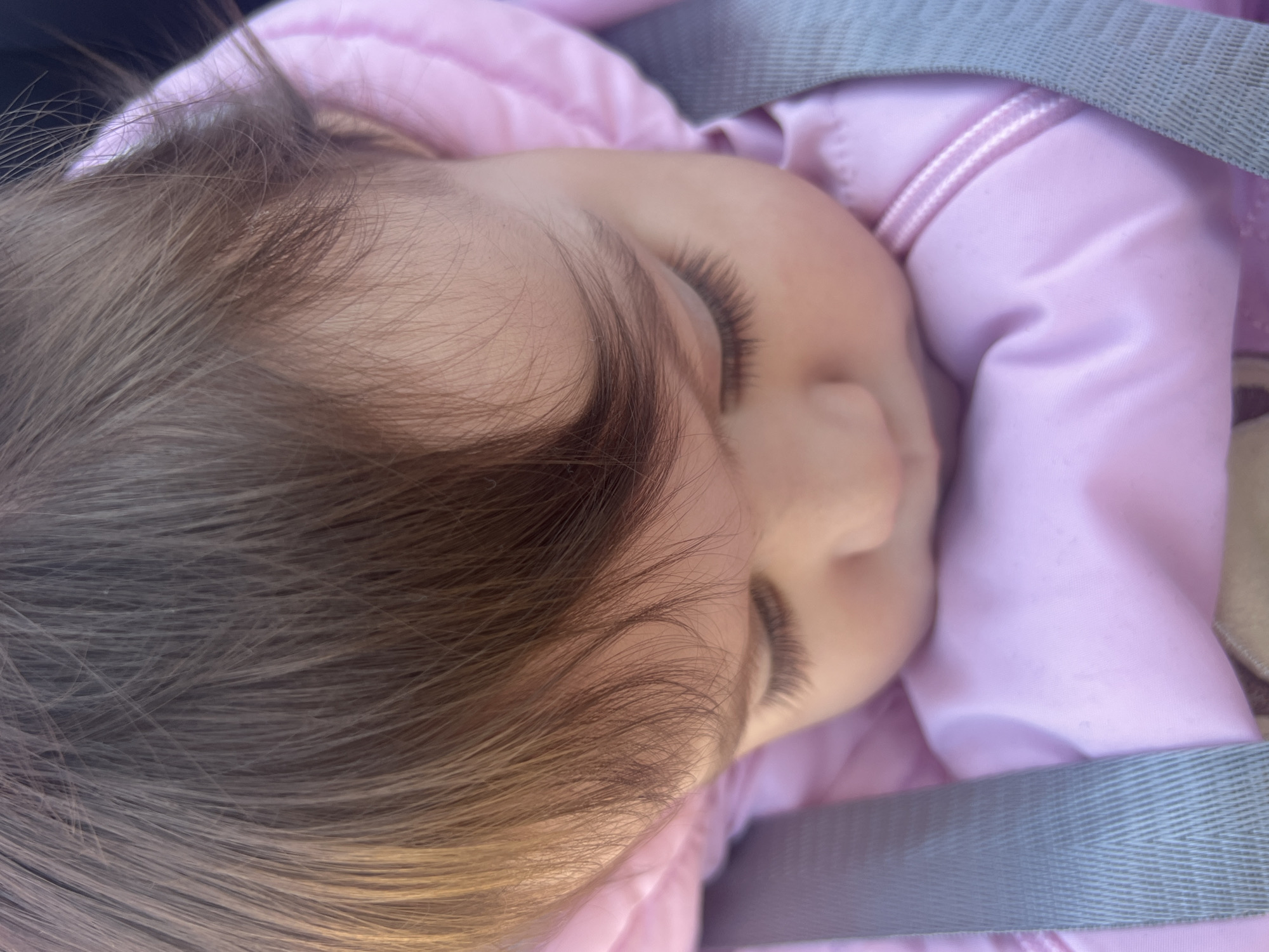 A close-up image shows a young child asleep. The child is positioned with their head turned to the side, eyes closed, with long eyelashes visible. The child has light brown hair. The child is wearing a pink jacket, and gray straps are visible, suggesting a car seat or similar restraint. The environment is not identifiable, and there is no evidence to suggest the location is Elena, Bulgaria.
