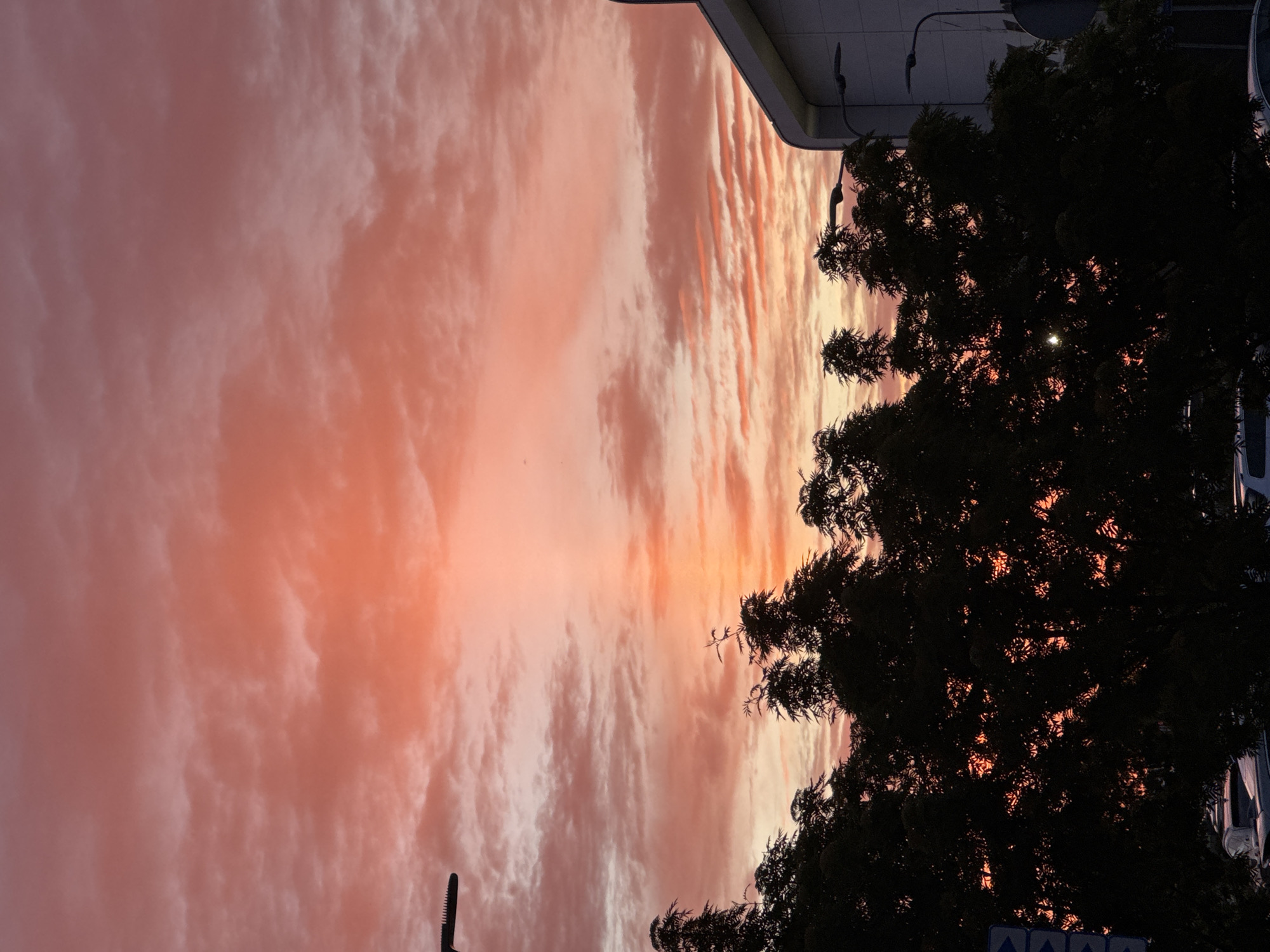 A streetlamp with a serrated top stands silhouetted against a sky filled with clouds that glow with hues of orange and pink, indicative of a sunset. Below the sky, the dark silhouettes of the upper branches of trees obscure the view of a modern building, which appears to be constructed of white panels. Further down, more trees are visible, their leaves forming a dense canopy. Through the gaps in the foliage, the same vibrant sunset sky can be seen. At the very bottom of the image, the tops of parked cars are visible, their presence suggesting an urban setting. The overall scene evokes a twilight atmosphere in an urban environment, possibly Tallinn, Estonia, given the context.
