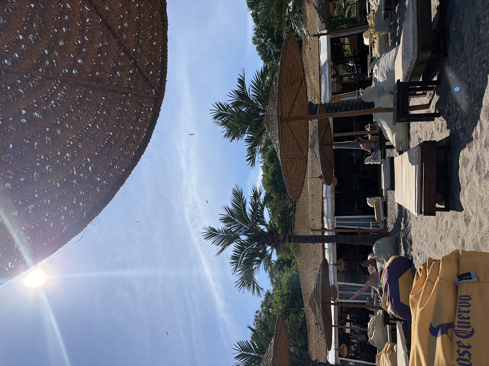 This image depicts a sunny day at a beach resort in Burgas, Bulgaria. The foreground is dominated by a sandy beach with several large, yellow beanbag chairs, one of which has the "Jose Cuervo" logo visible. In the midground, lounge chairs and more beanbag seating are arranged under thatched umbrellas. Palm trees are interspersed among the umbrellas, and behind them, a building with open-air seating and a bar is visible. Two individuals are seated on beanbag chairs in the midground, with one appearing to gesture. The sky is bright blue with a few wispy clouds, and the sun is high and brilliant, causing lens flare in the upper left corner. Seagulls can be seen flying in the sky. The overall atmosphere is one of relaxation and a tropical, beachside leisure environment.