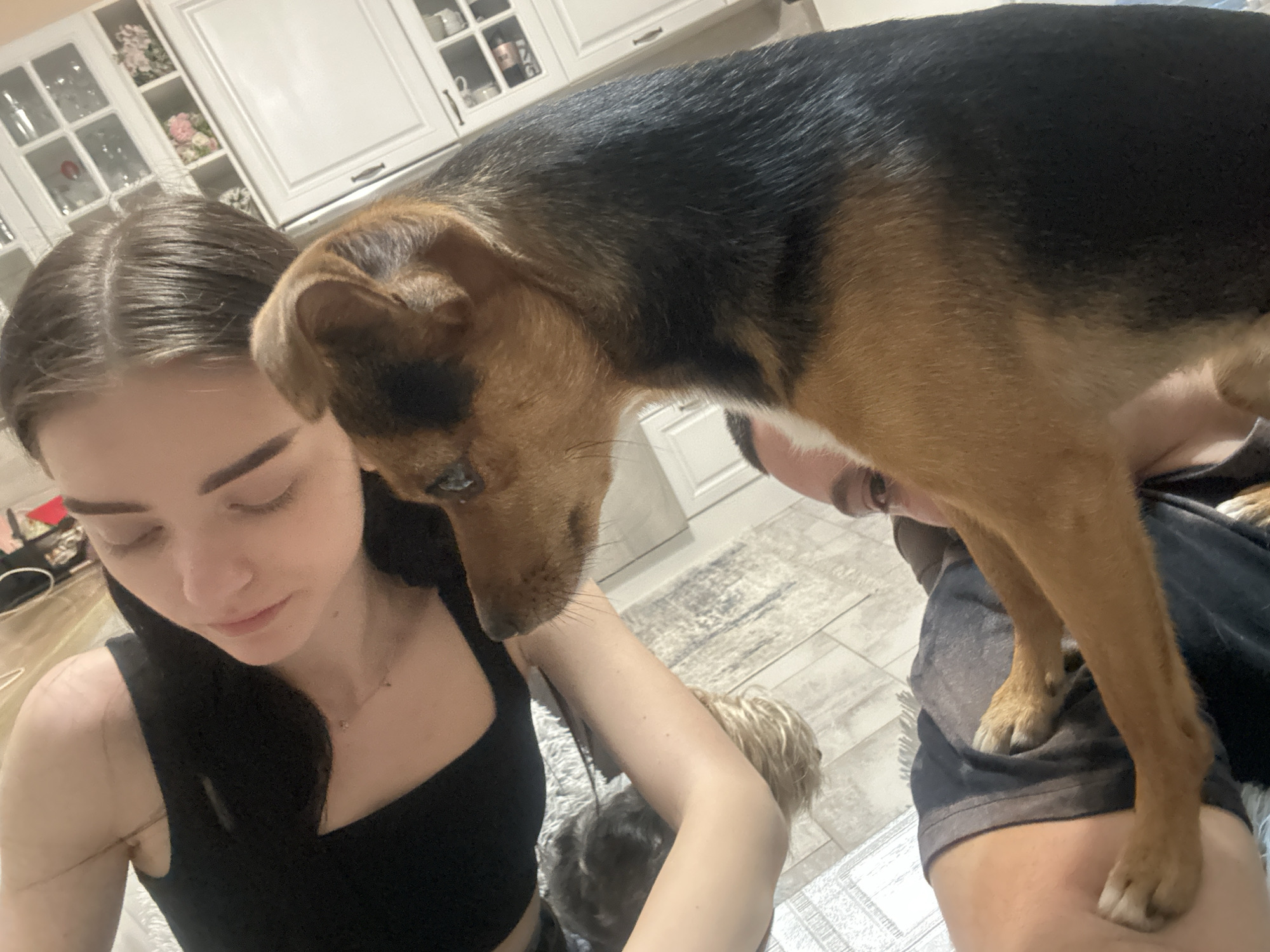 A young woman with dark hair and a black top is looking down, while a brown and black dog stands partially on her shoulder and partly on a man's lap. The man is wearing a dark t-shirt. Two smaller dogs are visible near the woman's arm. The background includes white kitchen cabinets. The location is likely indoors, but the city of Burgas, Bulgaria, cannot be determined from the image.