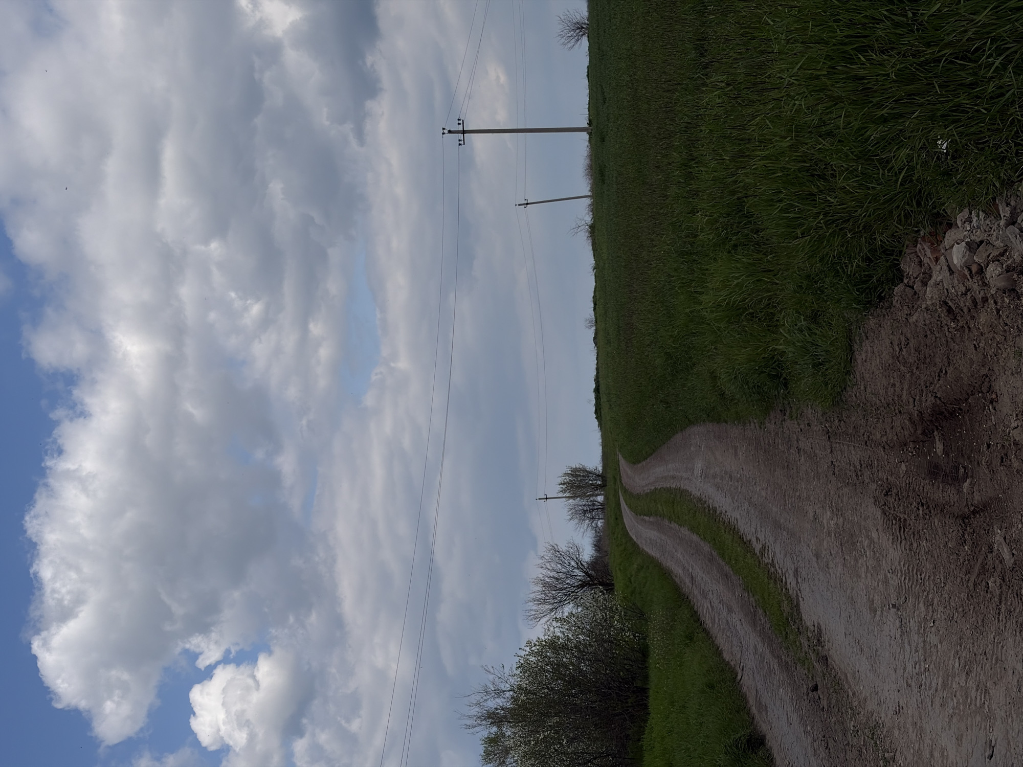 The image presents a tranquil rural landscape under a dynamic sky. A winding dirt road, marked by two prominent tracks, begins in the lower right and curves towards the left horizon, disappearing into the distance. The immediate edge of the road in the foreground reveals loose earth and scattered rocks.
Lush green grass borders the road, forming extensive fields that occupy the right side of the frame and extend into the background. Several concrete utility poles, strung with multiple power lines, punctuate the left side of the road, receding into the distance. Sparse trees with bare branches are visible along the horizon line, while a more substantial bush or tree, possibly with small white blossoms, stands in the lower-left foreground.
The sky, occupying the upper portion of the image, features a mix of bright white cumulus clouds and darker grey clouds, interspersed with patches of clear blue. A few small, dark specks, likely birds, are visible against the cloudy backdrop.
The scene depicts a peaceful daytime setting, possibly in late spring or early summer given the vibrant greenery. No specific activity or event is taking place, presenting a static view of the countryside. There is no visible text. The overall atmosphere evokes the quiet serenity of rural Novopokrovskaya, Russia.