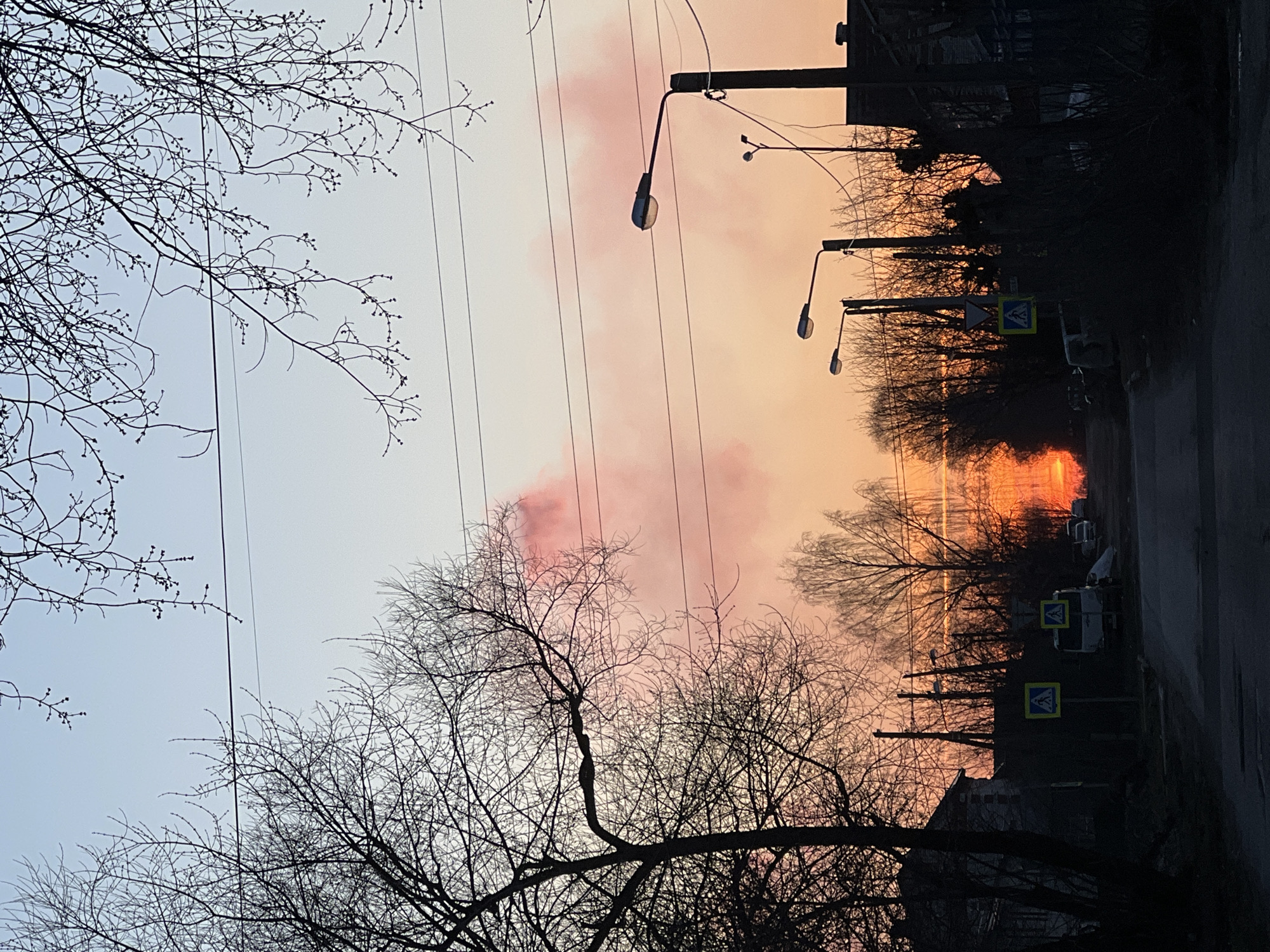 The image captures a street in Berezniki, Russia, at dusk or dawn, evidenced by the gradient sky transitioning from pale blue to orange. The scene is dominated by bare trees, their branches silhouetted against the sky. Power lines stretch across the view. Streetlights line the road, and a pedestrian crossing sign is visible. Several parked vehicles are present along the street. The overall impression is urban and somewhat desolate due to the time of day and leafless trees.