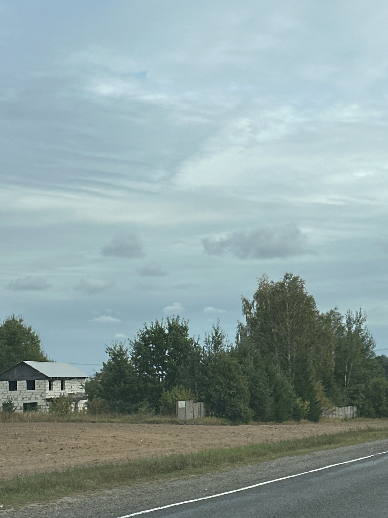 An overcast sky looms above a rural Belarusian landscape. In the foreground, a paved road with a white stripe runs diagonally across the bottom of the frame. Beyond the road, a field of dry, brown earth is bordered by a strip of green grass. Further back, a partially constructed building made of cinder blocks stands to the left, its roof unfinished. Behind the building and across the field, a dense line of trees forms a natural backdrop, with a few taller birch trees interspersed among the darker foliage. The scene is quiet and appears to be uninhabited.