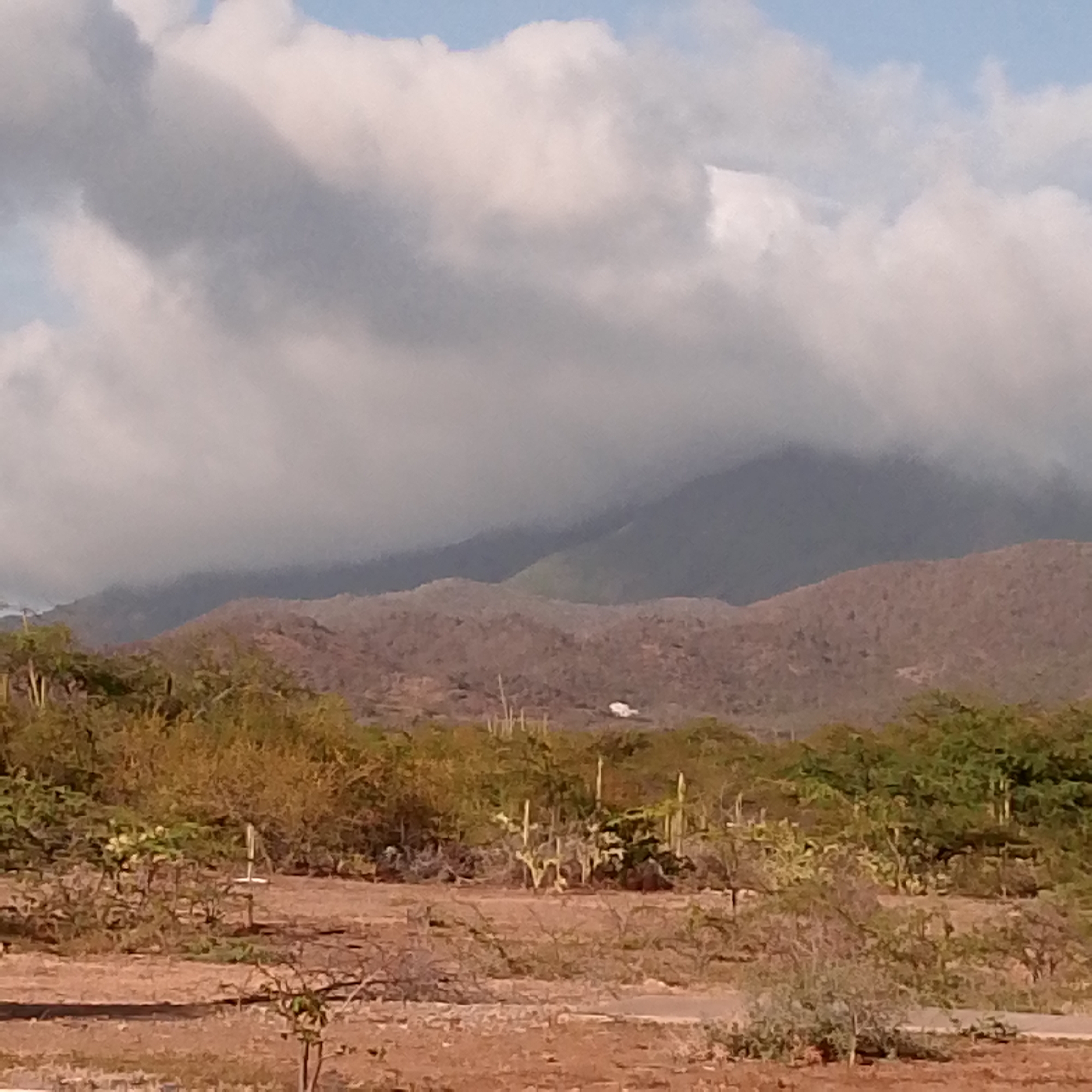 The image presents a landscape scene in Altagracia, Venezuela. Mountains are visible in the background, partially obscured by low-lying clouds. The foreground features a dry, arid terrain with sparse vegetation, including shrubs and cacti. The ground is reddish-brown, indicative of the soil type. The sky is blue, with the aforementioned cloudy conditions dominating the upper portion of the frame.