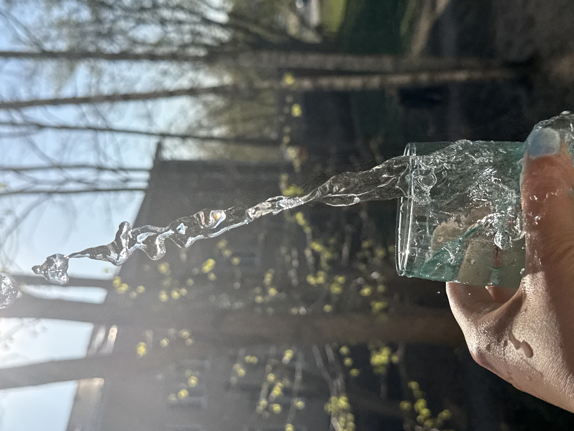 A person's hand, with a pale blue nail polish on one finger, holds a transparent glass from which a stream of water is being poured. The water stream is clearly visible against a blurred background of trees, possibly birch, with early spring buds. In the far background, a building is partially visible. The scene has adequate natural lighting, casting shadows in parts. It may be Dmitrov, Russia.