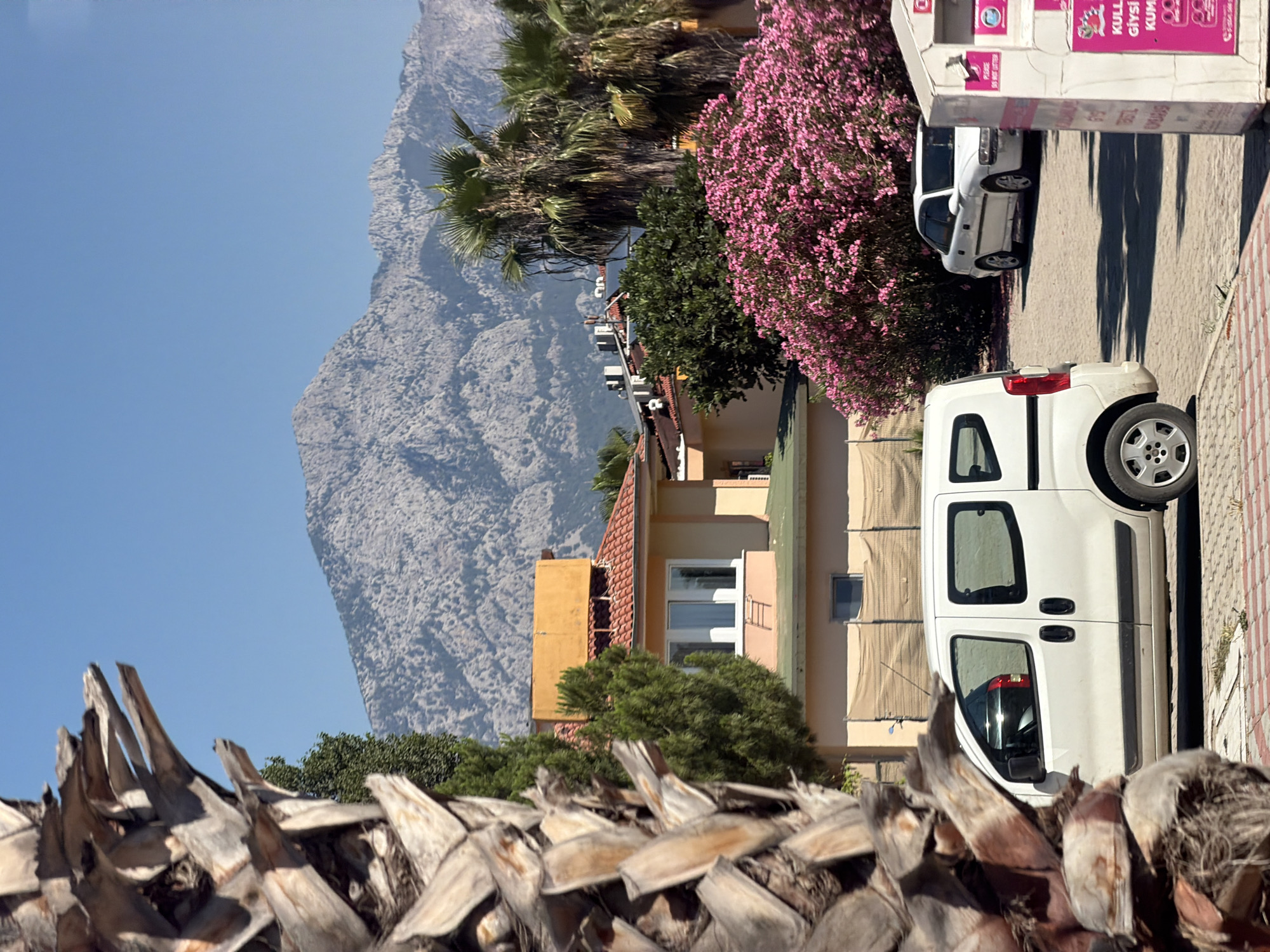 The image is a vertical, wide-angle shot of a street scene. In the foreground, a cluster of dead palm fronds occupies the bottom of the frame, their dry, textured surfaces dominating the lower portion. Behind the fronds, a light-colored van is parked on the right side of the street, its doors closed. Further back, a building with a yellow facade and a red-tiled roof is visible. Pink flowers bloom in abundance on a bush to the left of the building, contrasting with the more muted colors of the architecture. In the background, a large, rocky mountain dominates the skyline, its slopes textured and imposing. The sky above is a clear, bright blue. The scene appears to be set during the day, with clear, sunny weather indicated by the strong shadows cast by the cars and buildings. The overall impression is one of a warm, possibly Mediterranean, climate. There is some visible text on a white structure to the left of the van, but it is partially obscured and difficult to read clearly in the provided image. The text appears to be in a language with Latin characters.