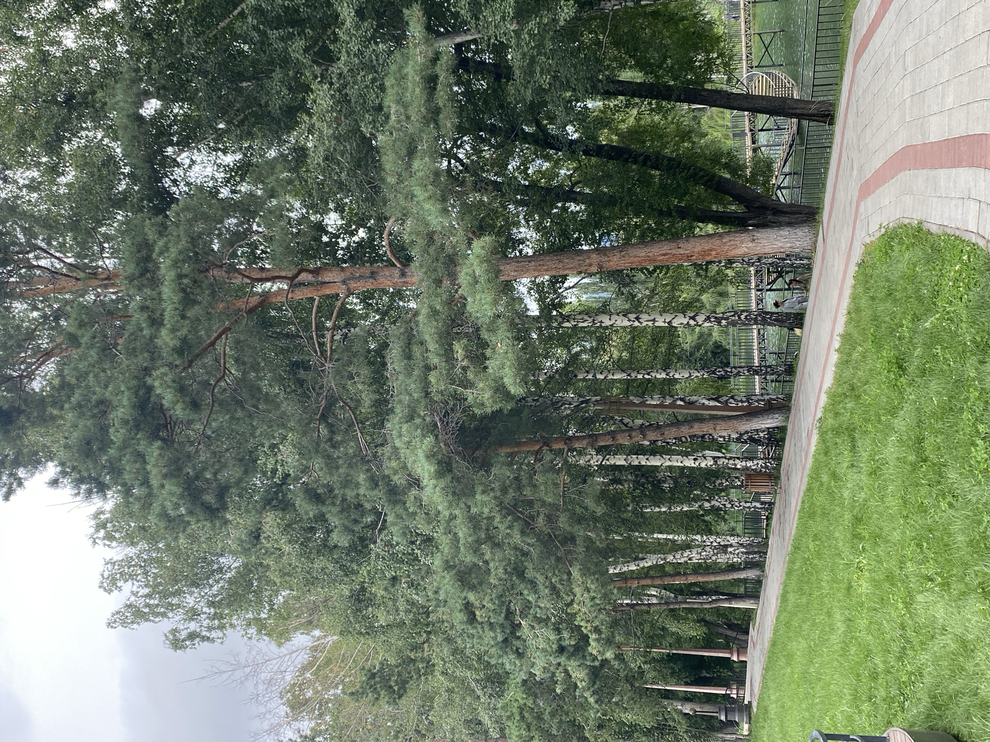 The image depicts a paved walkway in a park-like setting. The walkway is made of light-colored square pavers with a red border and is bordered by lush green grass on one side. On the other side of the walkway, a dense line of trees, primarily birch and pine, forms a backdrop. Beyond the trees, a body of water, possibly a lake, is visible, with a wooden bridge structure spanning across it. Two individuals are present, standing near the trees by the water. The overall atmosphere suggests a public outdoor space in Cholpon-Ata, Kyrgyzstan, likely a park or recreational area along the shore of Lake Issyk-Kul. The sky is overcast, indicating a cloudy day.