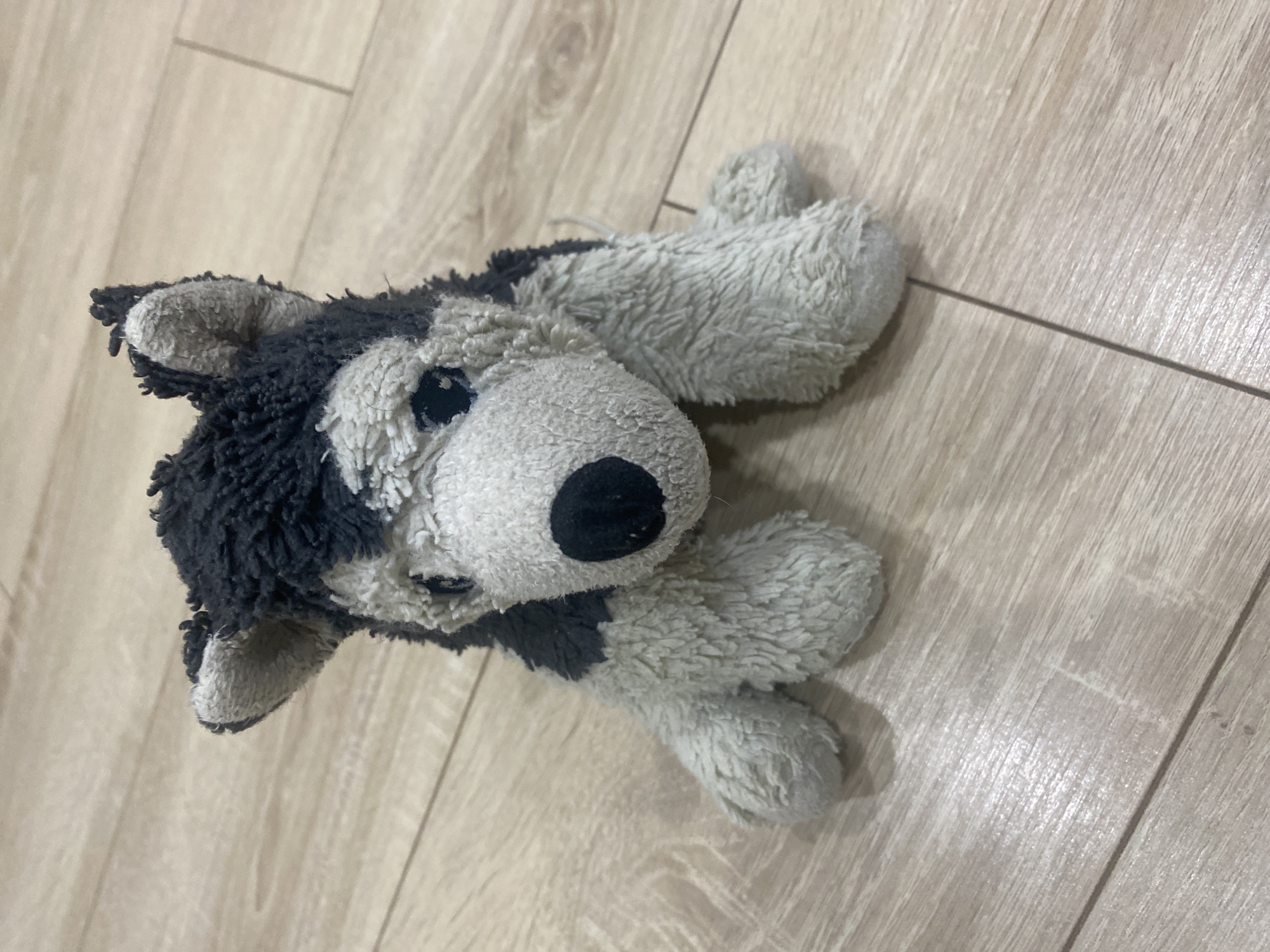 A plush husky toy is on a light-colored wooden floor. The toy is grey and white with black markings and a black nose. It is sitting with its front paws extended. The floor has visible wood grain and a few faint scratches. There are no people or other objects in the image. This scene is not specifically located in Novokuybyshevsk, Russia; it is a generic indoor setting.