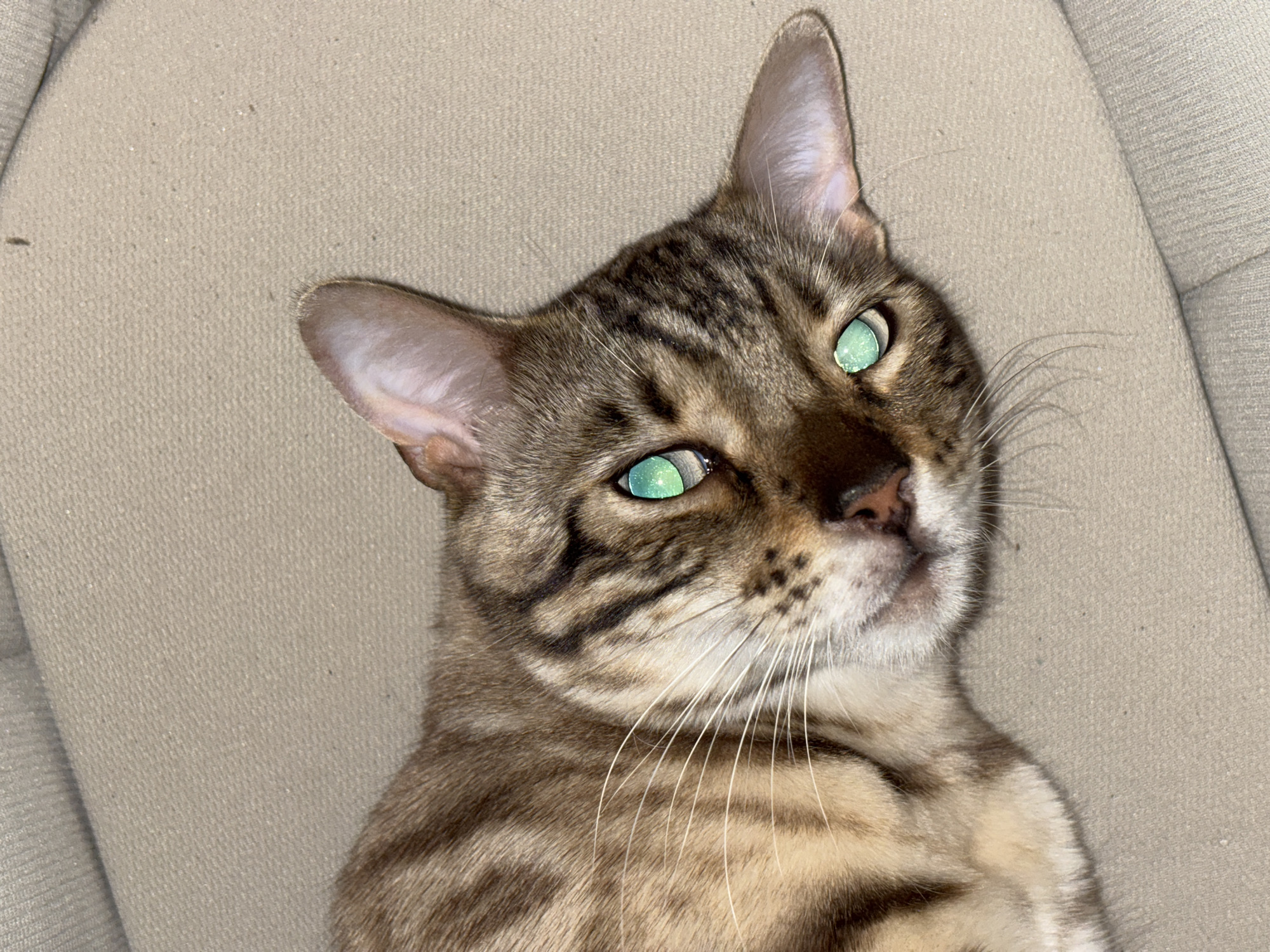 A Bengal cat with striking green eyes is lying on a beige, textured surface that appears to be a piece of furniture, possibly a sofa or a car seat. The cat's fur is a mix of brown and tan with distinct dark spots and stripes, characteristic of the breed. The cat's head is tilted, and its gaze is directed towards the camera. The background is blurred, focusing attention on the animal. The image does not contain any information about the city of Noviy, Russia.