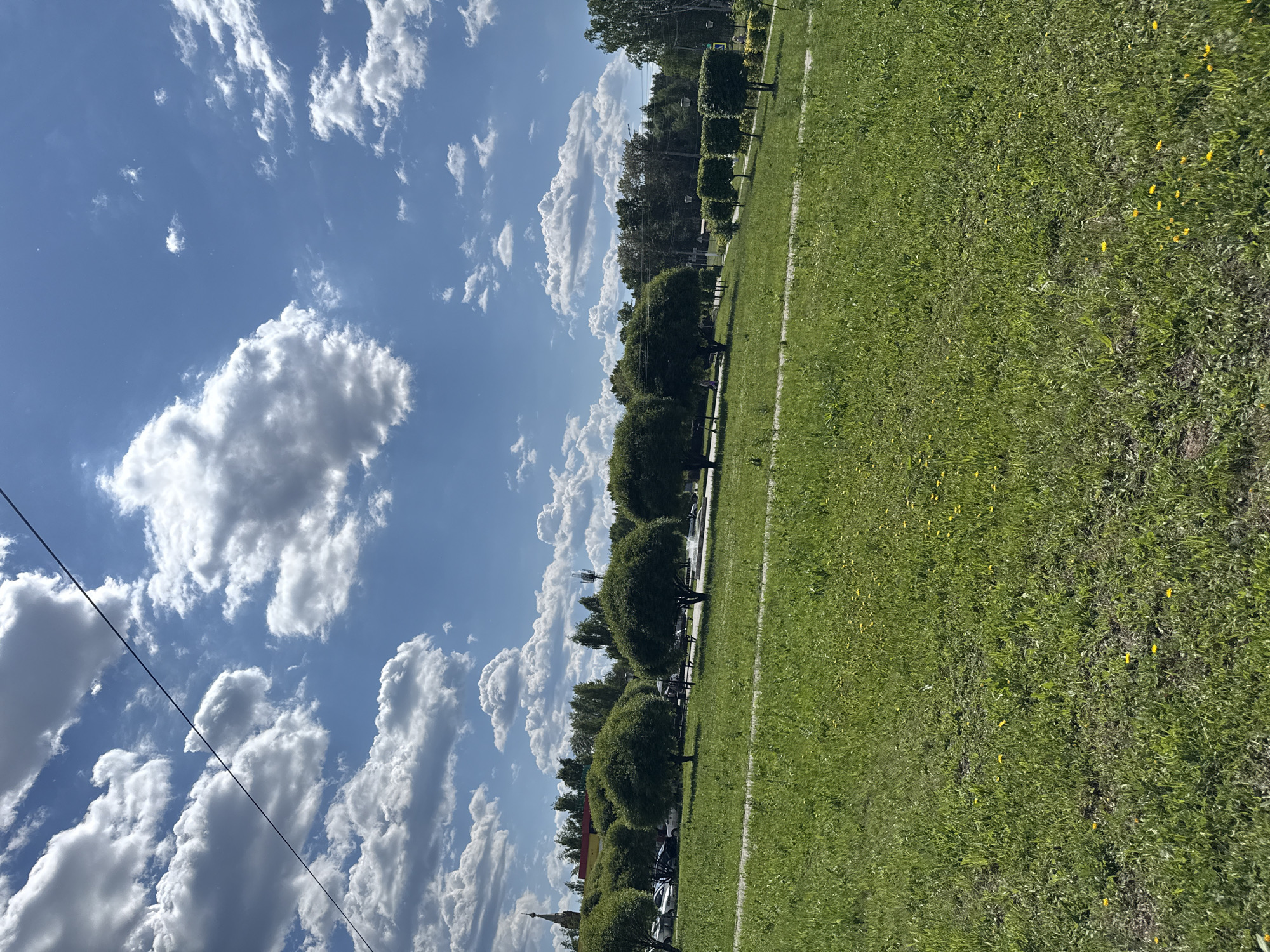 A sunny day is depicted in a park with a vast expanse of lush green grass. In the foreground, the grass is dotted with small yellow flowers, adding a touch of color to the scene. A paved pathway meanders through the grass, suggesting a walking or cycling route. In the midground, a row of meticulously pruned trees with rounded canopies stands tall, creating a neat and organized aesthetic. Beyond these trees, a line of smaller, uniformly shaped hedges adds further structure to the landscape. Further in the distance, a dense array of trees forms a natural backdrop, their green foliage creating a lush and verdant wall. A tall tower with multiple antennas rises above the treeline on the right, hinting at the park's proximity to urban infrastructure. A glimpse of a building with a red roof and a spire-like structure is visible in the far left background, suggesting the presence of historical or religious architecture. The sky above is a brilliant blue, adorned with scattered white, puffy clouds, typical of a clear and pleasant day. A thin, dark wire stretches diagonally across the upper portion of the frame, an artifact of human presence and likely power lines or communication cables.