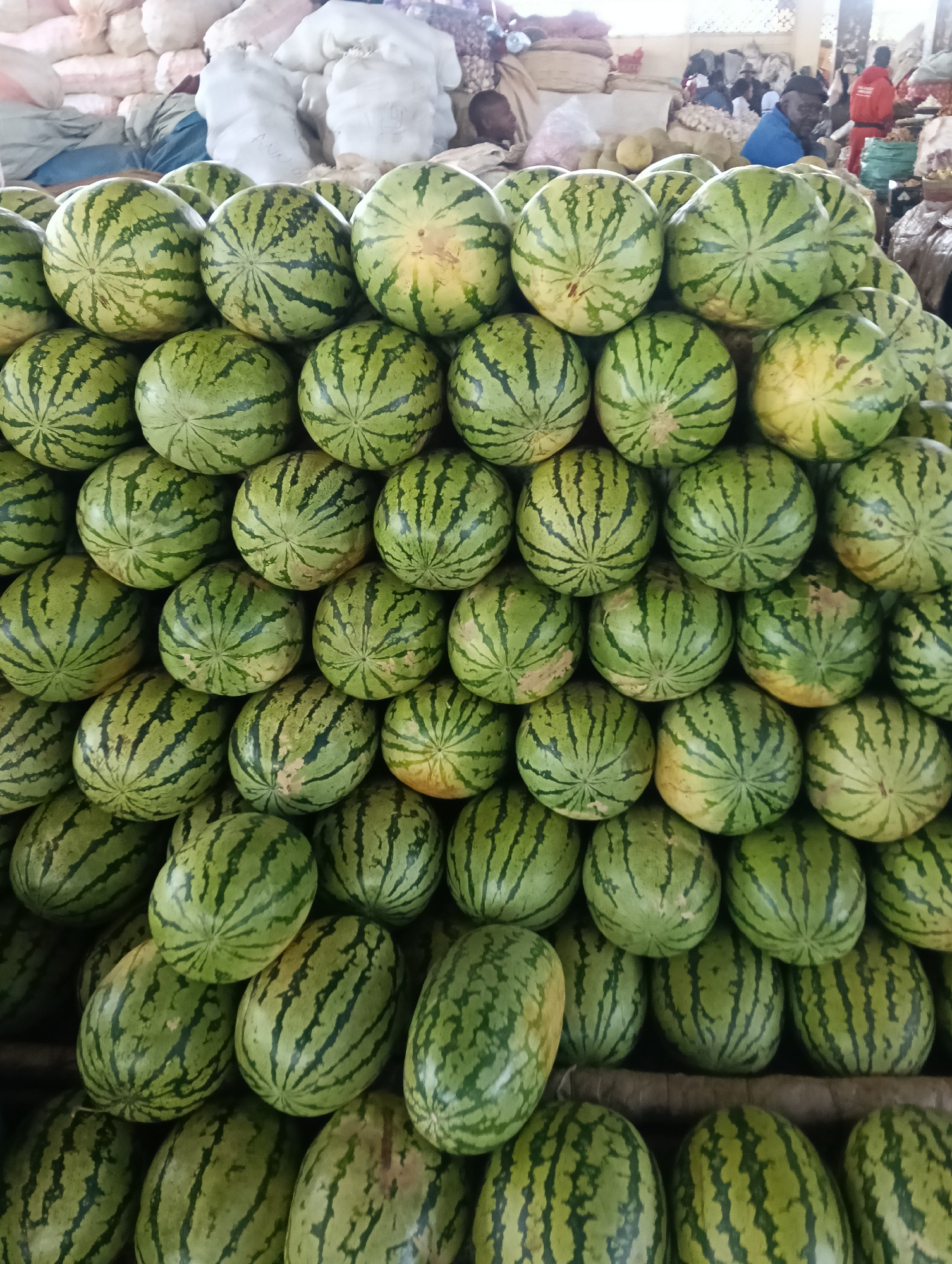 A street market scene in Nairobi, Kenya, features a dense, stacked display of watermelons. The watermelons are round to oval shaped, with a dark green rind featuring lighter green stripes. They are piled high on wooden shelves and in baskets, creating a vibrant display of produce. In the background, sacks of produce, possibly onions or potatoes, are visible. Several people are present, including a man in a blue shirt and a man in a red jacket, suggesting an active marketplace. The overall lighting indicates it is daytime.