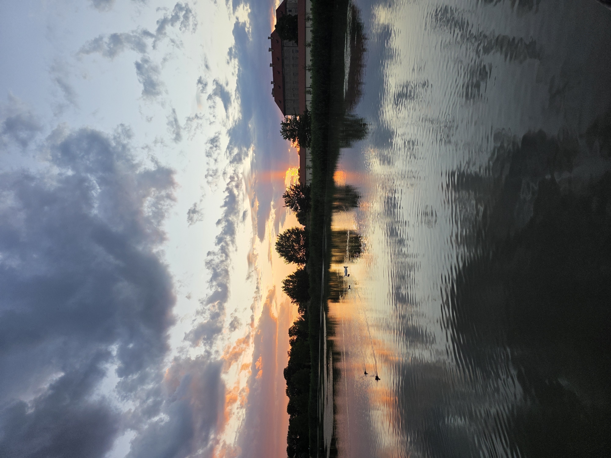 The image depicts a serene lake at sunset with dramatic clouds reflecting in the water. On the horizon, a line of trees borders the lake, behind which a long, red-roofed building, possibly a historic structure, is visible. Several ducks are scattered across the water, with one white duck swimming near the center. The sky is a canvas of oranges, pinks, and grays as the sun sets, casting a warm glow on the scene. The water's surface is rippled, creating abstract reflections of the sky and the surrounding landscape. The overall atmosphere is tranquil and picturesque.