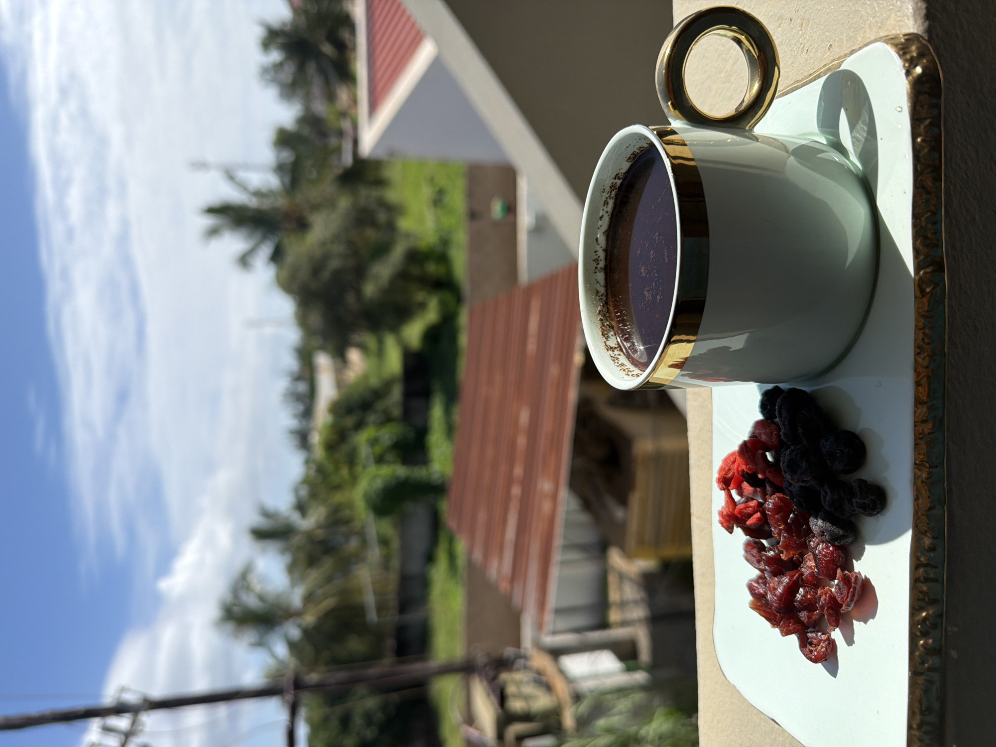 A tilted, eye-level shot shows a light-blue and gold-trimmed coffee cup on a light-blue saucer with dried red and dark-purple berries. The cup is half-full of coffee. In the background, blurred, are buildings and trees under a blue sky with white clouds. Utility poles can be seen in the distance.