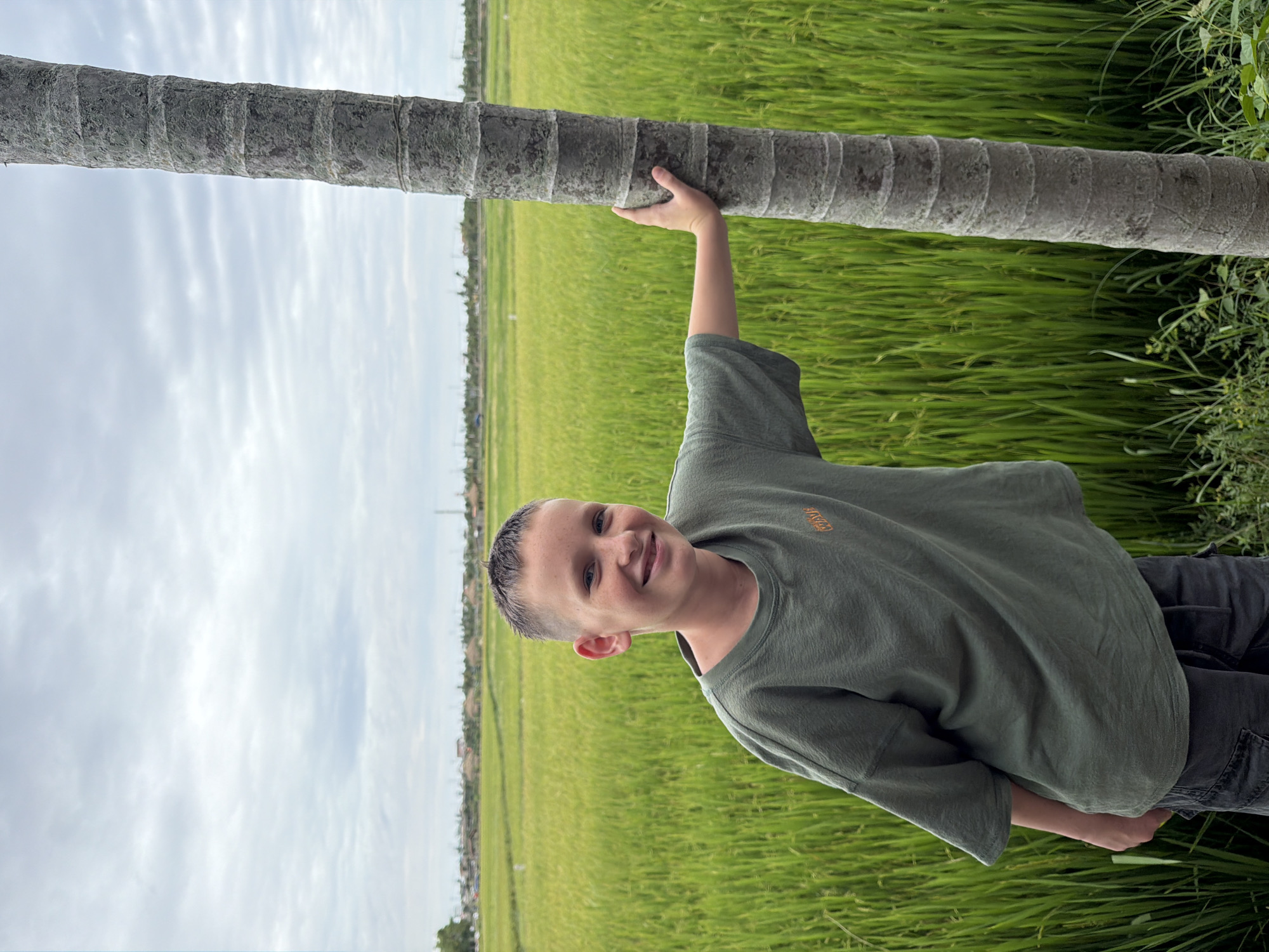 A young boy, appearing to be pre-teen, is captured in a full-body shot, leaning against a thick, textured palm tree trunk. He is wearing a casual, dark olive green, loose-fitting t-shirt and dark pants. The boy is looking towards the camera with a cheerful, wide smile and sparkling blue eyes, his right arm extended to grip the tree trunk. His short, dark hair is styled in a buzzed cut.
The background is a vibrant, lush green rice paddy field, stretching out into the distance under an overcast, pale sky. The foliage of the rice plants is dense and appears to be in a stage of growth. In the far distance, a line of buildings and some sparse vegetation suggest a rural or semi-urban environment. The overall scene evokes a sense of a warm, humid day, typical of a tropical climate.
The image is oriented vertically, with the palm tree and the boy occupying the majority of the frame. The lighting suggests it might be daytime, possibly late morning or afternoon, given the diffused light from the cloudy sky. There are no specific events or activities depicted beyond the boy posing for the photo.
There is a small, subtle design or logo on the front of the boy's t-shirt, appearing to be orange or a warm metallic color, with some illegible text or graphics.
The context provided places this scene in Hoi An, Vietnam, which aligns with the visual cues of rice paddies and palm trees. The boy's light skin tone and facial features are also consistent with a Western tourist or resident in the region. The overall mood of the image is happy and relaxed.