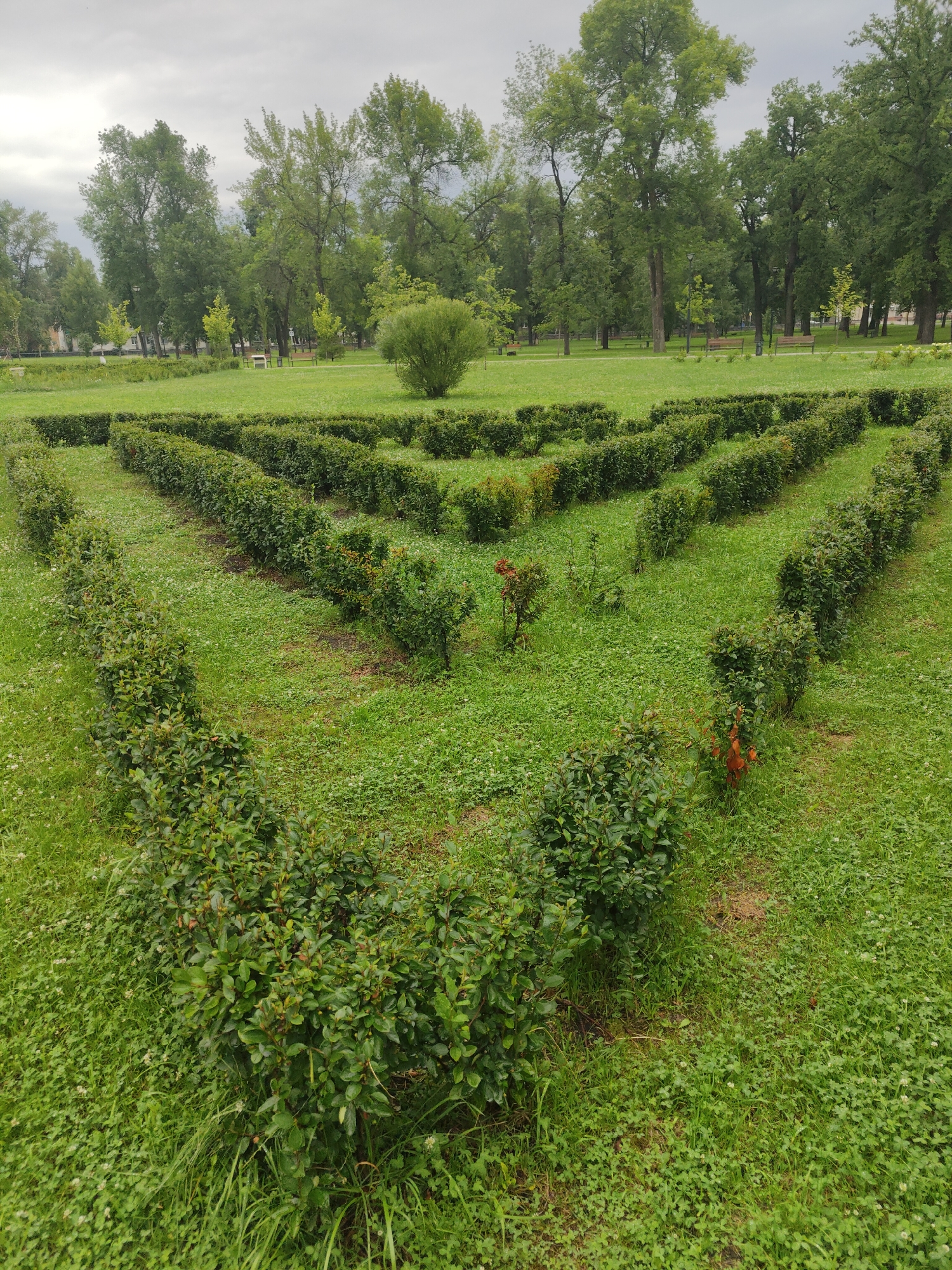This is a full, eye-level, outdoor, daytime, medium shot of a park with manicured hedges and trees under a cloudy sky. The foreground is dominated by a geometric pattern of low, green hedges that form a labyrinth or maze-like structure. The hedges are neatly trimmed and are separated by paths of green grass. In the background, a row of mature trees with lush green foliage lines the perimeter of the park. Some park benches are visible in the distance. The overall scene depicts a serene and well-maintained park.
