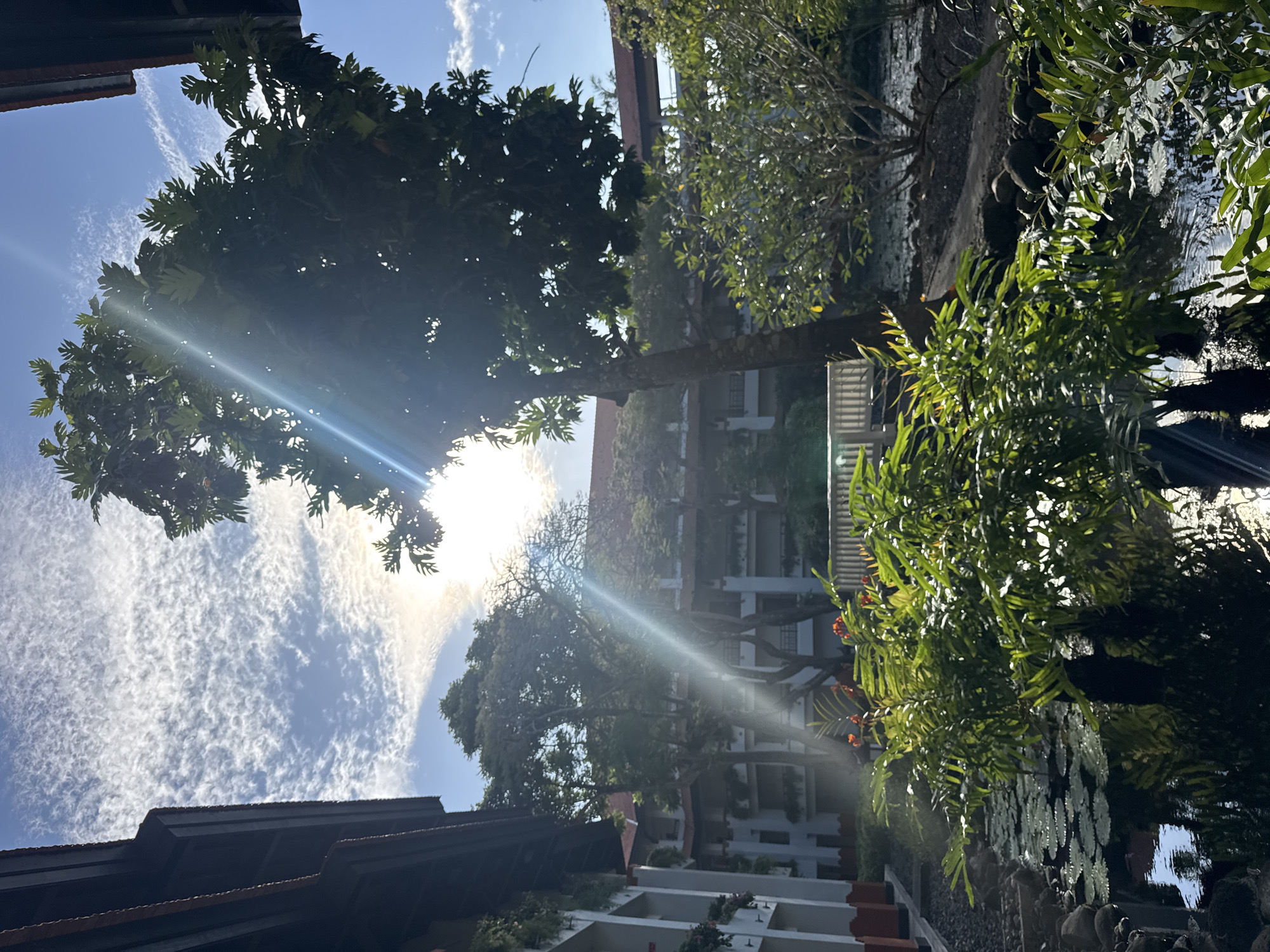 The image, taken in Kuta Selatan, Indonesia, shows a bright, sunlit scene with trees and buildings. A tall tree with large leaves dominates the left side of the frame, with sunlight streaming through its branches. To the right of the tree, a multi-story building with white balconies is visible. In the foreground, a lush, green bush overhangs a body of water, possibly a pond or stream, where lily pads can be seen. The sky is blue with scattered clouds. Parts of a dark-colored roof are visible at the bottom left. The scene appears to be taken from a low angle, looking upwards towards the sky and buildings.