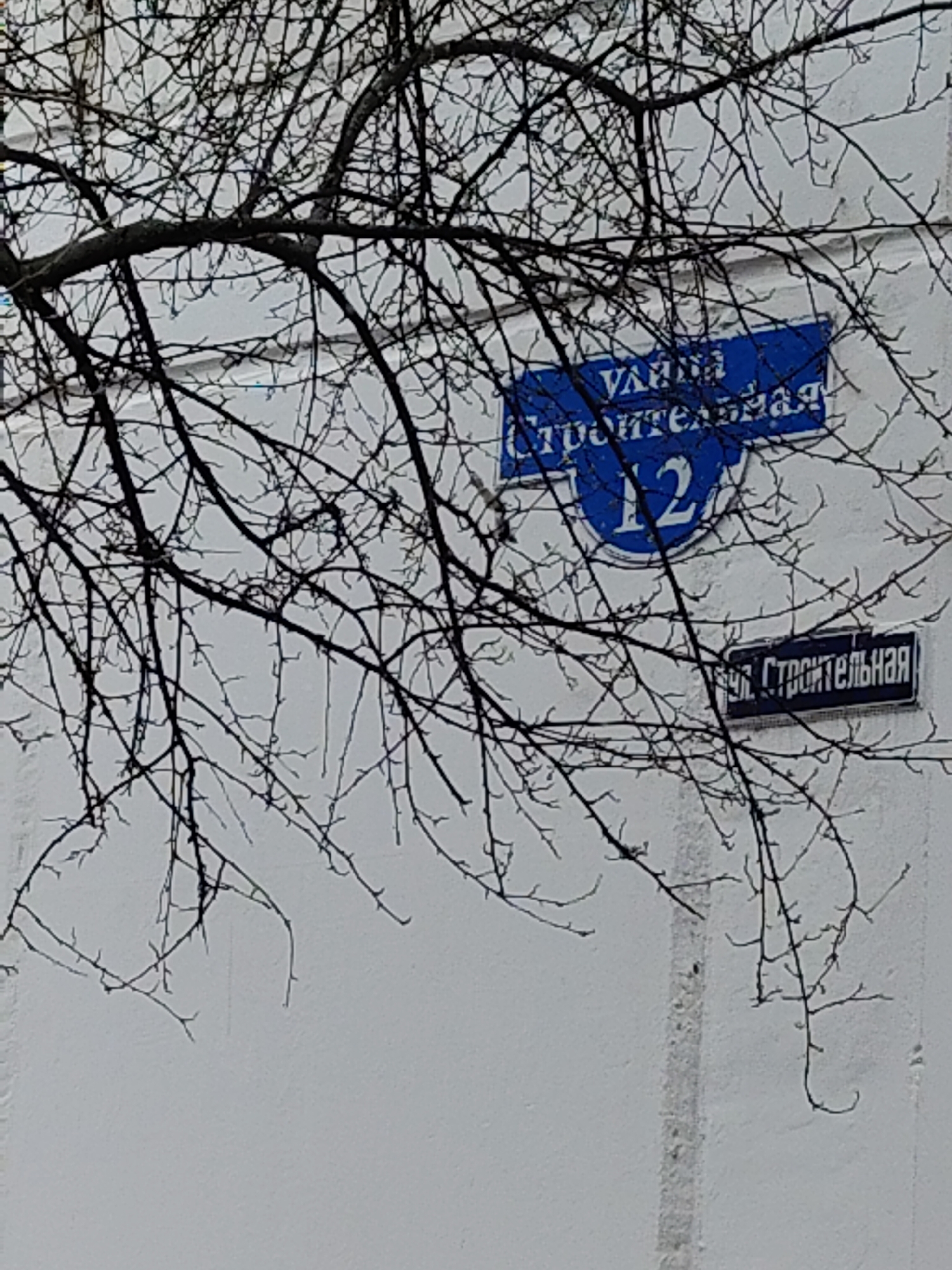 The image shows a white building wall with two blue street signs in Russian, partially obscured by bare tree branches. The upper sign reads "ул. Строительная" (Ulitsa Stroitelnaya - Builder's Street) and the number "12". The lower sign also reads "ул. Строительная". The location is Unknown, Unknown.