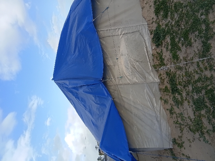 A partially visible tent, made of a grey material and a blue tarp, rests on sandy ground with sparse vegetation. Ropes tether the structure. A portion of the sky is visible in the frame, with white clouds against a blue backdrop. Some trees are visible in the lower-left corner.