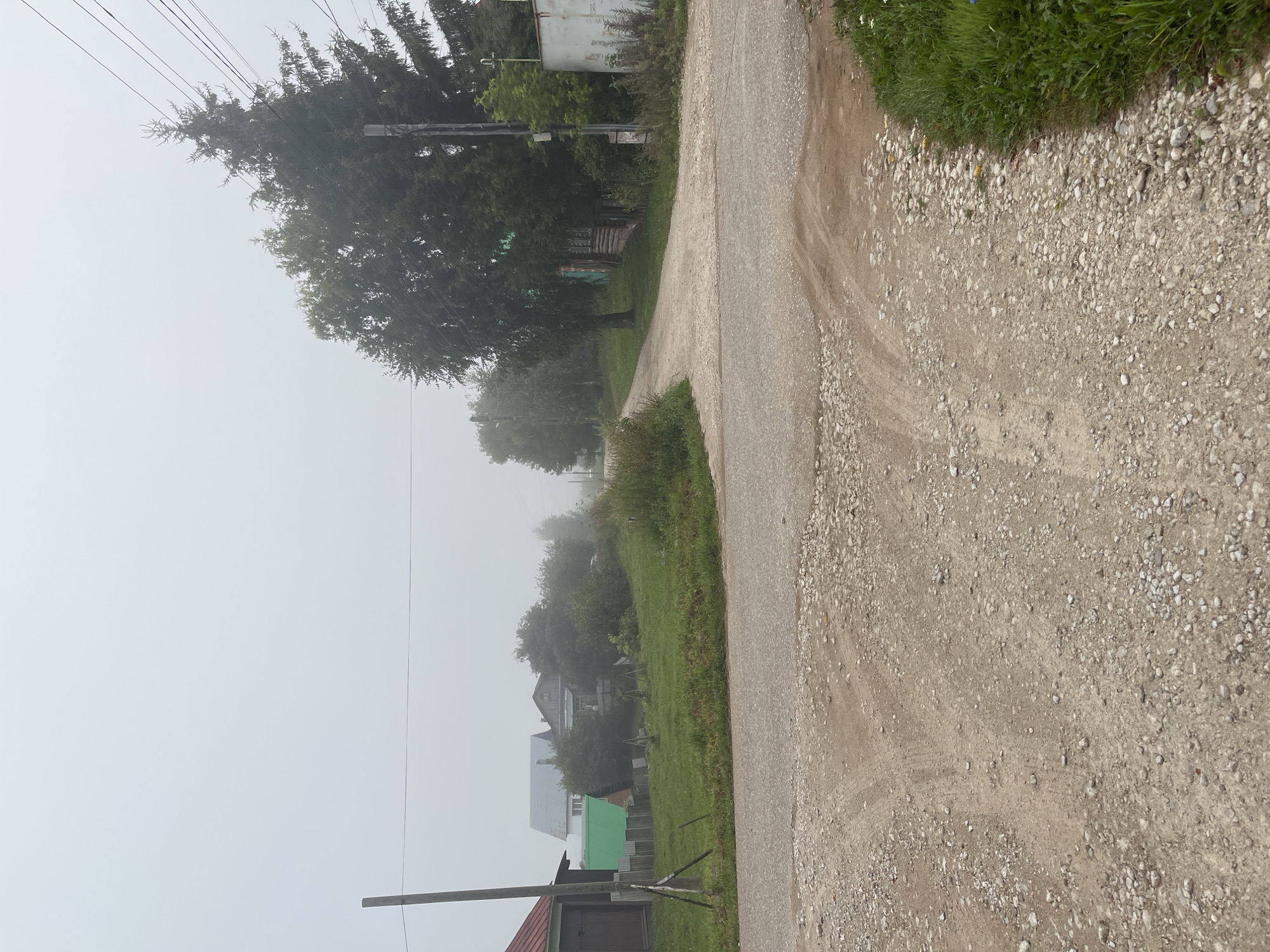 The image shows a dirt road intersection on a foggy day in a rural area. In the foreground, the dirt road is covered with small stones and shows tire tracks. To the left, a wooden fence separates the road from a grassy area with a few small plants. A wooden utility pole stands near the fence.
In the middle ground, the road curves to the right, leading towards several houses and trees. The houses appear to be of a traditional rural design, with some having wooden exteriors and pitched roofs. One house has a green roof. Trees and dense foliage obscure parts of the houses and the road beyond.
In the background, the fog is thick, obscuring the horizon and the sky, which appears a light gray. The overall atmosphere is overcast and damp. A tall evergreen tree stands to the right, with power lines running horizontally across the upper part of the image. To the far right, a portion of a white building is visible.
The image does not depict any people or actions. The scene is static and conveys a sense of quiet and isolation due to the fog and rural setting. The location is identified as Blagoveshchensk, Russia.