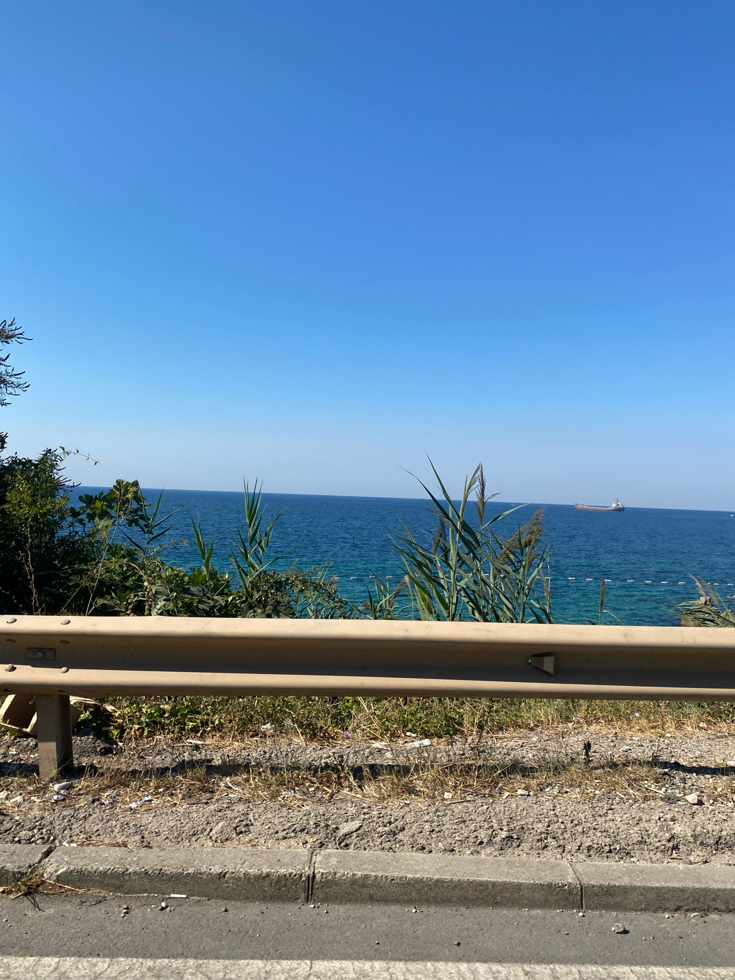 The image depicts a coastal view, likely from a roadside in Sutomore, Montenegro. In the foreground, a metal guardrail runs horizontally across the frame, appearing weathered and slightly rusted. Adjacent to the guardrail, there is a patch of dry grass and some scattered debris. Beyond the guardrail, lush green vegetation and reeds are visible, leading towards the sea. The sea itself is a vibrant blue, stretching to the horizon under a clear, cloudless blue sky. A cargo ship is visible in the distance on the water. The scene conveys a sense of a sunny day in a coastal town.
