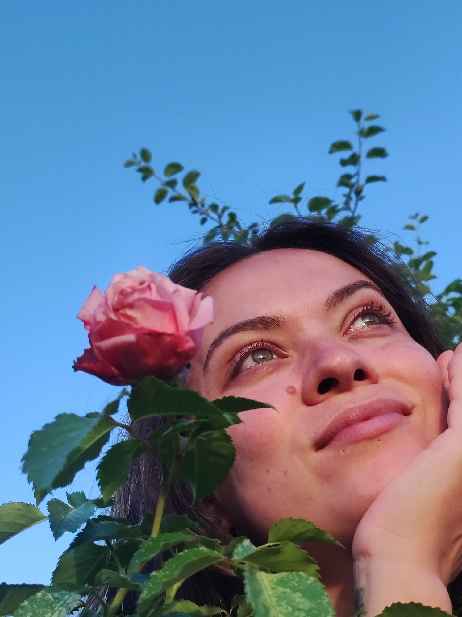 A close-up, low-angle outdoor shot features a woman gazing upwards, with a pink rose and green foliage in the foreground. The woman has dark hair, fair skin, and green eyes. Her right hand is supporting her chin as she looks towards the clear blue sky. Branches with green leaves extend from the bottom and right sides of the frame, partially obscuring the woman and the rose. The lighting suggests it is daytime, possibly late afternoon or early morning, given the warm tones on her skin. The image appears to be taken in a garden or natural setting, with no specific urban or city landmarks visible.
