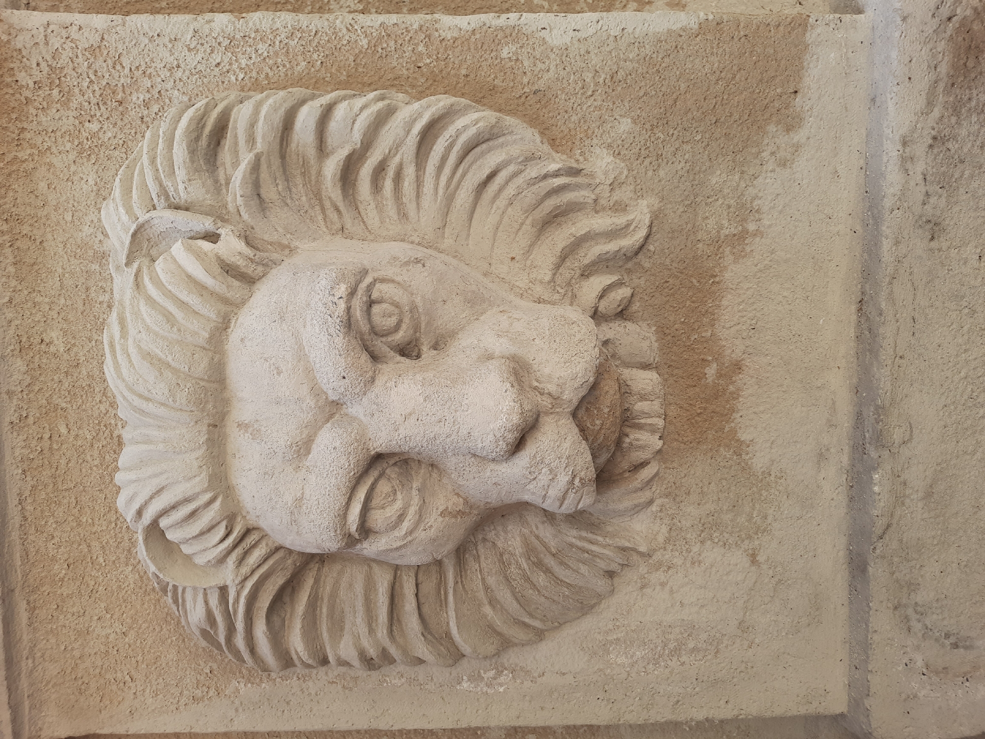 This media file features a close-up, high-angle shot of a decorative stone carving of a lion's head. The carving is bas-relief, meaning it protrudes from a flat surface. The lion has a prominent mane with stylized, wavy strands that encircle its face. Its facial features are somewhat worn but recognizable, with deep-set eyes, a broad nose, and a slightly open mouth. The carving is rendered in a light-colored stone, possibly sandstone or limestone, and appears aged, with some discoloration and texture variations on the stone surface.
The lion's head is set against a rough, textured stone background, likely part of a wall or architectural element. The lighting suggests an indoor setting or an overcast day, as there are no strong shadows. The overall tone of the image is muted, emphasizing the texture and form of the stone. The image does not depict any people, ongoing activity, or textual information. The stylistic qualities of the carving, combined with the information that it is located in Lviv, Ukraine, might suggest it is part of historical architecture, possibly on a building facade or within a courtyard. The emotion conveyed by the carving is one of stoicism or regality, typical of lion imagery in art and architecture.