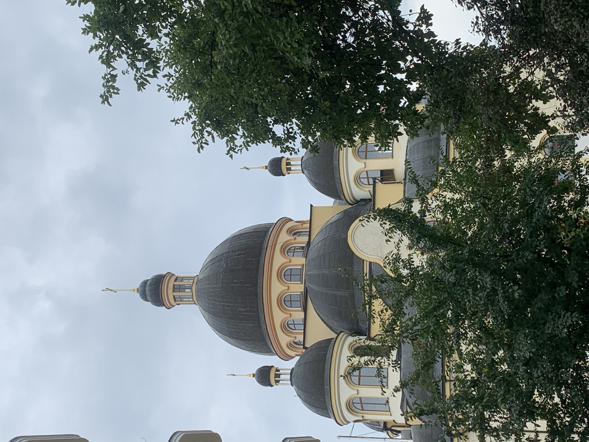 The image shows a close-up view of the domes of the Church of the Blessed Virgin Mary in Kolomyia, Ukraine, on a cloudy day. The church features multiple dark domes with gold crosses on top. The main dome is large and prominent, with smaller domes and cupolas surrounding it. The building is light yellow with arched windows. Lush green trees partially obscure the lower portions of the church, with their branches and leaves creating a natural frame for the architectural structure. The sky is overcast, contributing to a muted color palette. No people are visible in the scene.