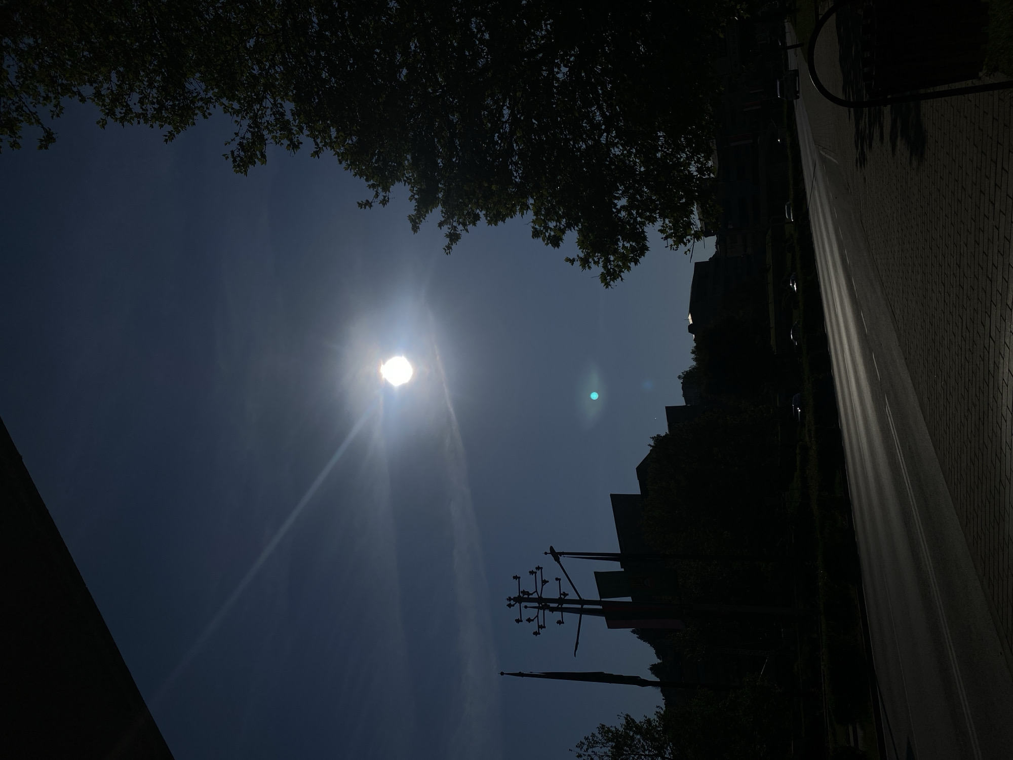 The image depicts an urban outdoor scene in the New Center of Smolyan, Bulgaria, likely on or adjacent to Ulitsa Balgariya, captured during midday or early afternoon. The sun, positioned high in the sky and slightly to the right of center, dominates the upper portion, exhibiting significant lens flare and a prominent teal-colored artifact below it, backlighting the entire scene.
The lower half of the image is characterized by deep shadows, silhouetting most foreground and midground elements. A paved two-lane road occupies the center and lower left, featuring distinct double white center lines and a single white edge line. Streaks of sunlight are highly reflective on the road surface, indicating either a wet surface or strong specular reflection. To the right, a brick-patterned sidewalk extends into the foreground, with a dark, arched metal object, possibly a waste bin or bench armrest, visible on its far right edge.
Dense, deciduous trees with visible leaves frame the right side of the image, extending from the midground upwards, and also form dark silhouettes along the left side of the road. Hedges or low shrubs are visible between the road and background elements. In the mid-distance along the road, several dark vehicle silhouettes are present, indicating traffic or parked cars.
On the left side of the scene, a tall, dark, multi-armed sculptural street light or utility pole stands prominently. Adjacent to it are two flagpoles, each bearing a dark, undifferentiated flag. Behind these structures, a cluster of modern, angular, and multi-level buildings, consistent with the architecture of Smolyan's municipal and public structures in its New Center, are visible as dark silhouettes against the bright sky. The uppermost left corner features a dark, indistinct architectural element, possibly an overhang. No individuals are discernible within the frame.