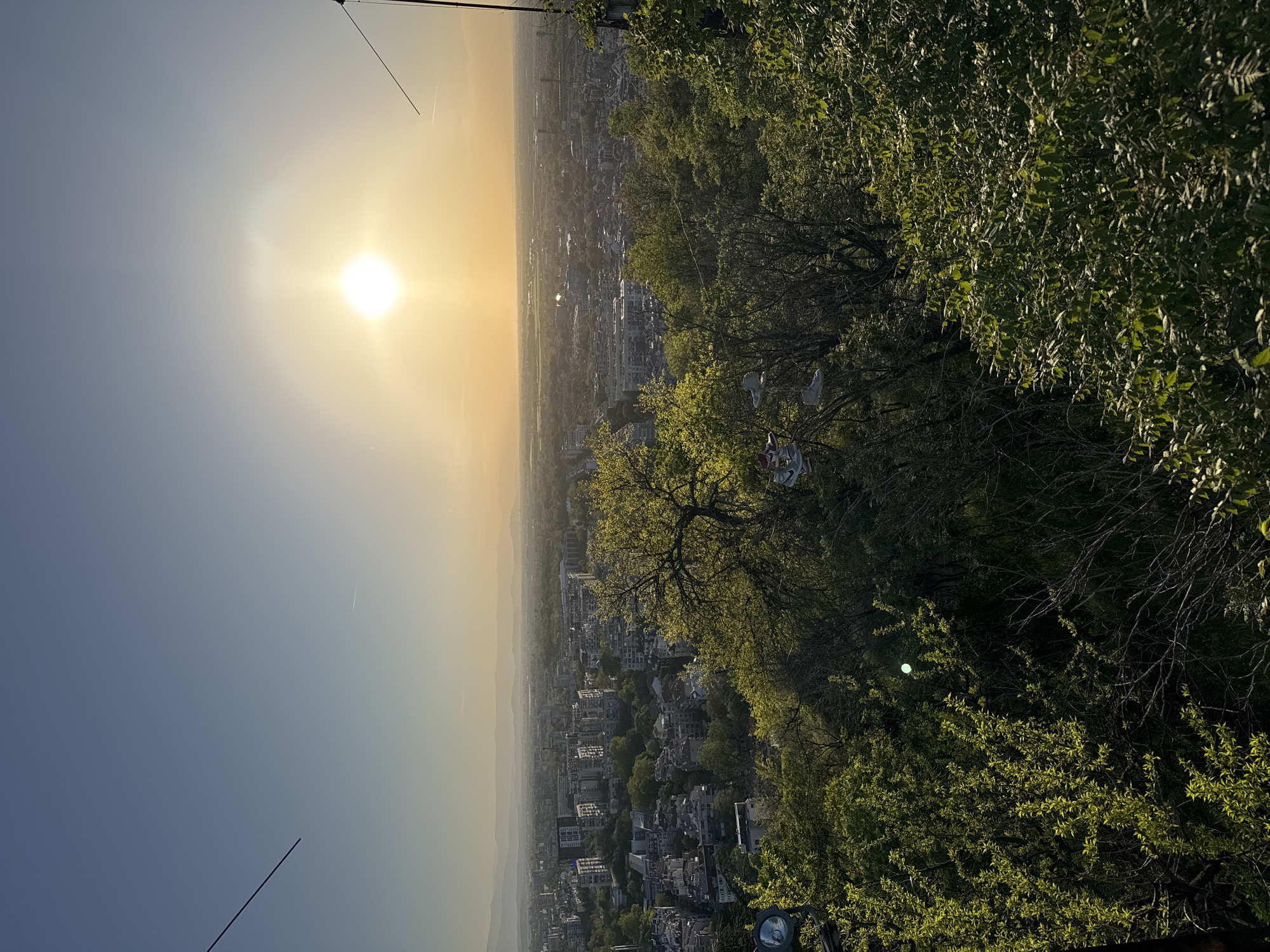 The image provides a wide-angle, high-angle view of the city of Plovdiv, Bulgaria, captured during late afternoon or early evening under a clear sky. A brilliant, intense sun dominates the left side of the frame, emitting a strong glare and golden light that illuminates the sky, transitioning from a bright orange-yellow near the horizon to a pale blue further up. A faint airplane contrail is visible high in the sky.
In the foreground on the right, dense, vibrant green foliage and trees fill a significant portion of the frame. Some leaves are brightly lit by the golden sunlight, while others remain in shadow. Notably, several pairs of white athletic shoes are suspended from the branches of a tree, a phenomenon often referred to as "shoefiti."
Below the treeline, the expansive urban landscape of Plovdiv stretches into the distance, featuring numerous buildings and structures, many with light-colored facades. The city blends into a hazy horizon where subtle mountain ranges are visible. Thin, dark poles or wires cut into the frame from the top-left and bottom-left corners, suggesting nearby structures at the vantage point. The scene captures the blend of natural growth with extensive urban development under a striking sunset. No visible text is present in the image.