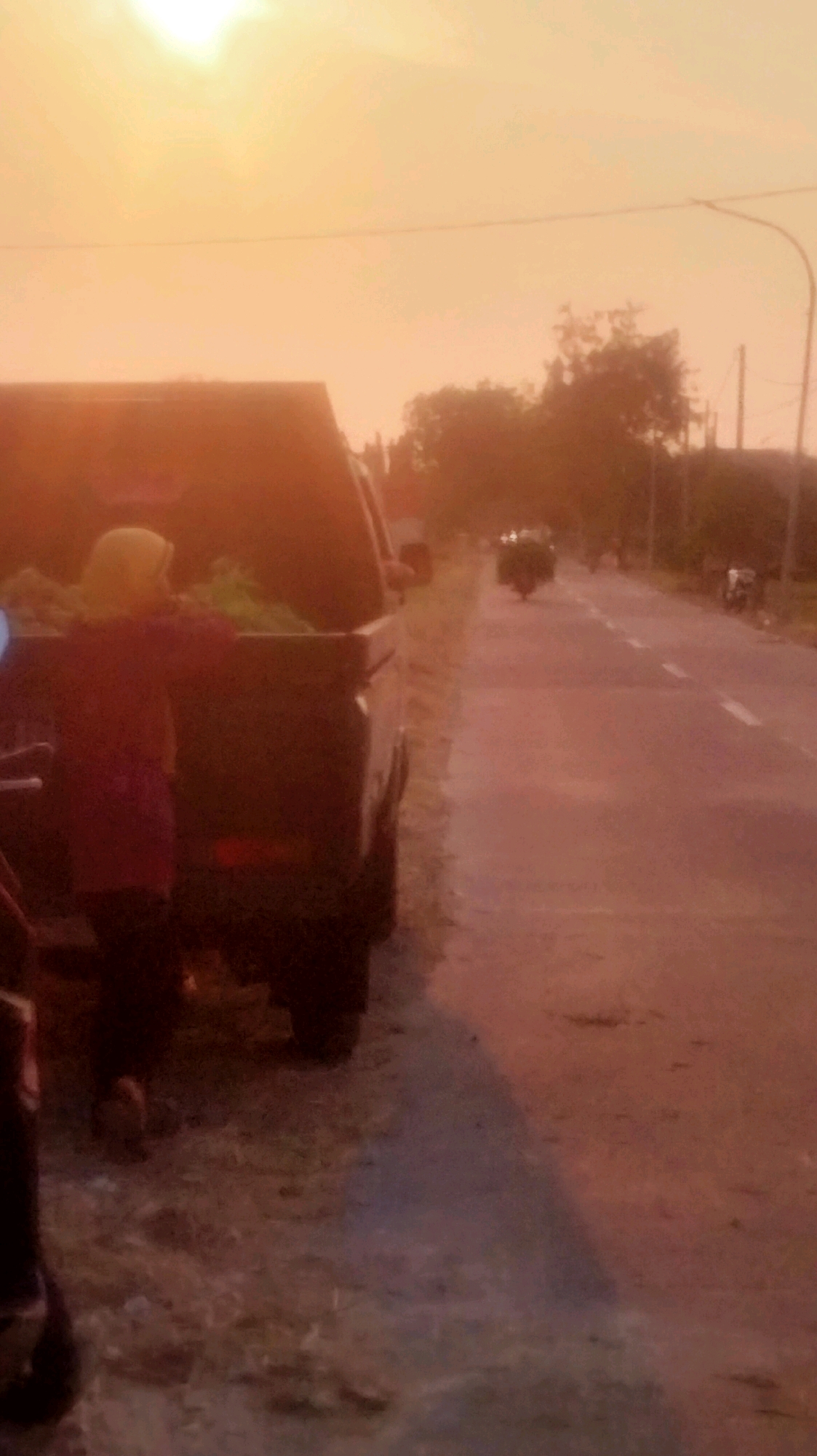 A person wearing a yellow head covering and a red garment stands near the open bed of a dark-colored pickup truck, which is partially filled with green produce. The truck is parked on the side of a paved road, with a dusty shoulder. In the background, a road stretches into the distance, with trees and utility poles lining its sides. Several motorcycles and a car can be seen on the road, suggesting activity in the area. The sky is a warm orange, indicating either sunrise or sunset. The overall scene appears to be a rural or semi-rural setting in Palang, Indonesia, possibly during a harvest or market-related activity.