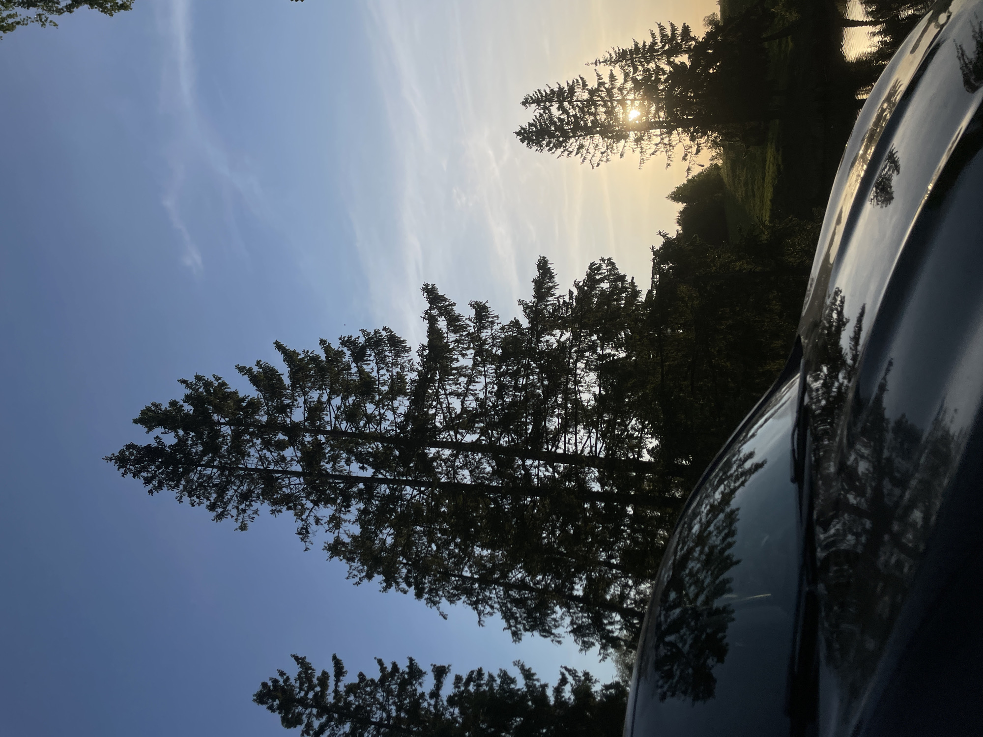 The image shows a sky with thin clouds and trees silhouetted against the light. Part of a shiny dark vehicle is in the foreground. The location is possibly Подшивалово, Russia.