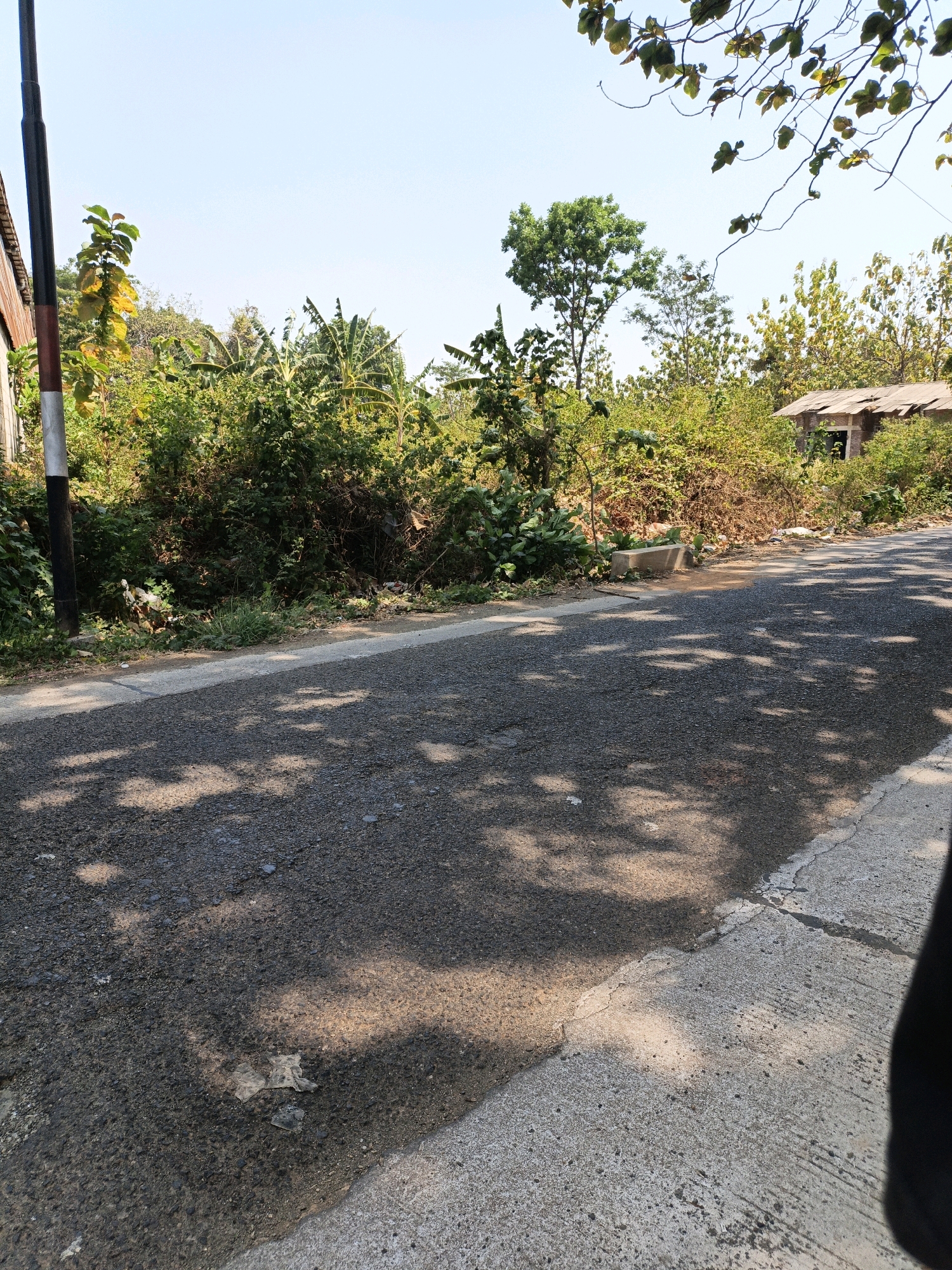 A paved road runs through a rural area in Kuwasen, Indonesia. The road is lined with lush green vegetation, including banana trees and other foliage. In the background, a small, dilapidated building with a corrugated metal roof stands amidst the greenery. The sky is clear and blue, and the sun casts dappled shadows on the road. Some trash is visible on the side of the road.