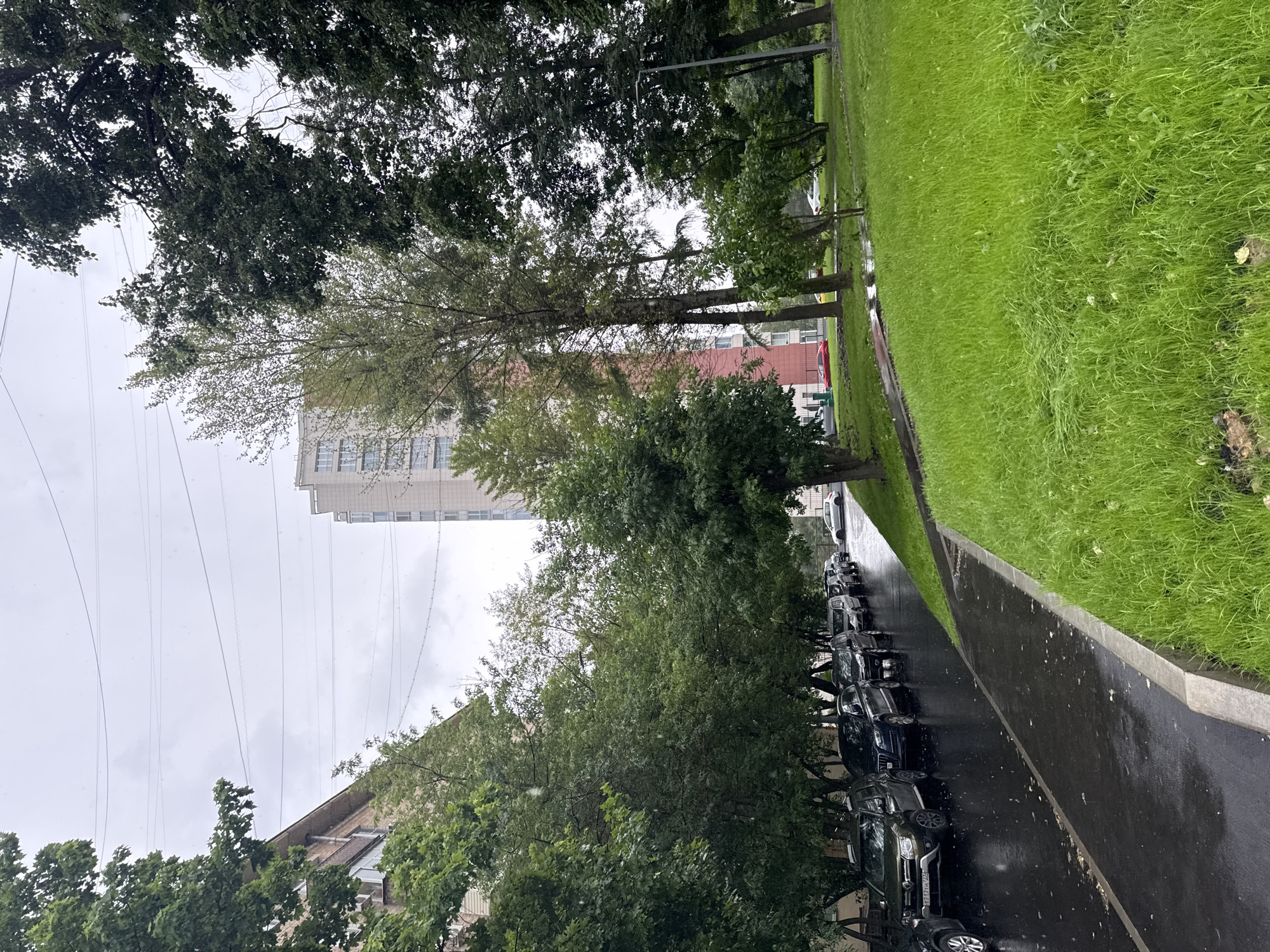 This is a medium shot, eye-level, exterior photograph taken on a cloudy day in an urban environment. The scene depicts a residential street lined with parked cars on the left side of the frame. The wet asphalt street reflects the overcast sky, indicating recent rain. A sidewalk or pathway runs alongside the street, bordered by a bright green, well-maintained lawn on the right. Beyond the lawn, trees with lush green foliage are visible, interspersed with a tall, modern building. The building has a light-colored facade with visible windows. Electrical wires are strung across the sky, supported by poles that are partially obscured by the trees. The overall impression is one of a damp, residential area with mature trees and modern architecture.