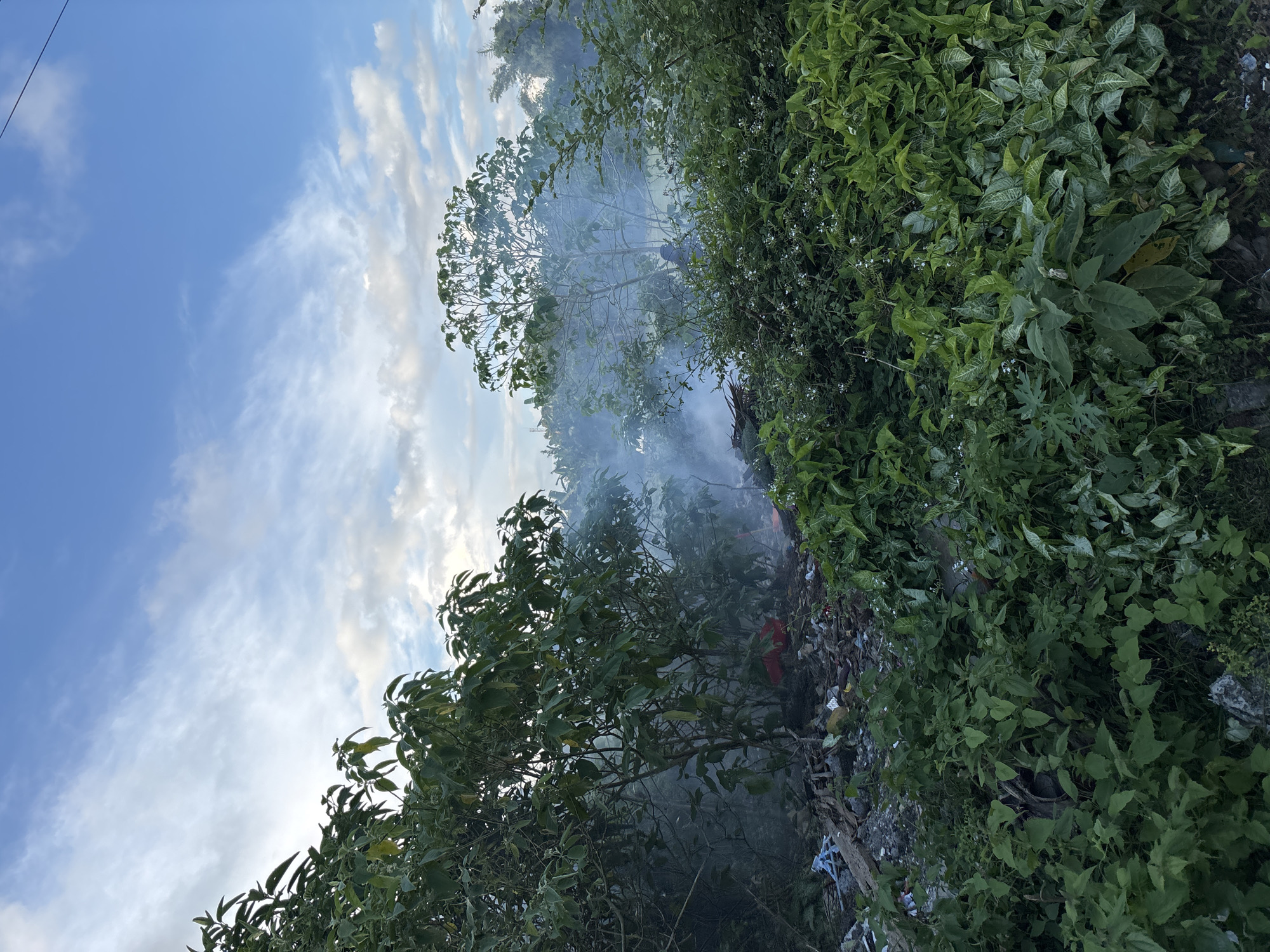 The image depicts an open burn in Ungasan, Indonesia. Vegetation frames a plume of grey smoke rising from a trash pile. The sky is partially visible in the background, showing patches of blue with white clouds. The waste pile appears to contain both natural debris and man-made materials such as fabric and plastic.