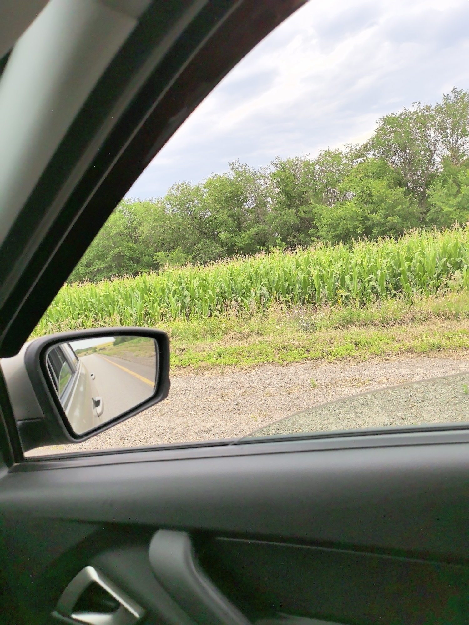 An outdoor, eye-level shot captures a view from inside a vehicle, looking out the passenger side window and through the side mirror. The vehicle's dark gray interior door panel and handle are visible in the foreground, with a portion of the windshield frame curving into the upper left corner. In the side mirror, a two-lane road with a yellow dividing line stretches into the distance, with the side of the vehicle visible in the reflection. Beyond the window, a lush green cornfield fills the middle ground, bordered by a line of trees and a cloudy sky. The ground beside the road is covered in gravel and sparse vegetation.