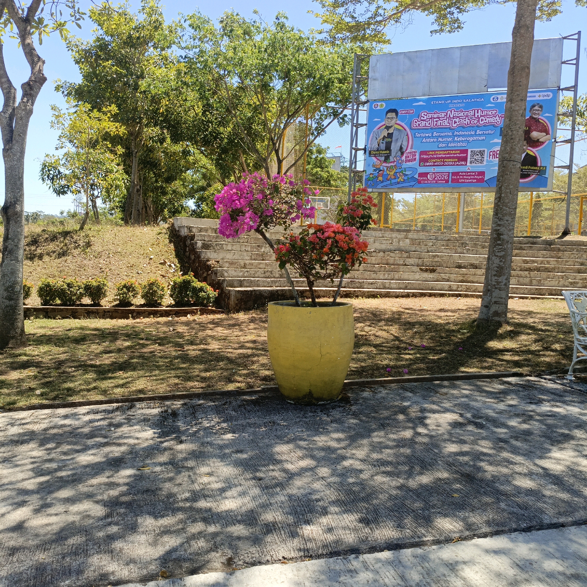This image captures an outdoor scene in Salatiga, Indonesia, likely in a public area with a stage or amphitheater. In the foreground, a large, yellow, oval-shaped pot holds two flowering bougainvillea plants, one with bright pink blossoms and the other with vibrant orange-red ones. The pot sits on a textured concrete pathway that is partially covered in dappled sunlight and shadows from trees.
Behind the pot, a tiered concrete structure, resembling steps or seating, ascends a grassy slope. The slope is covered in dry grass and scattered leaves. To the left of the steps, a line of low, manicured green bushes with small red flowers is visible.
In the background, a large billboard is prominently displayed. The billboard features text and images related to a "Seminar Nasional Humor Grand Final Clash of Comedy," indicating an event organized by "STAND UP INDO SALATIGA." It includes pictures of two men, one in a suit and the other in casual attire, along with graphics of cartoon children. The billboard is supported by a metal structure and is framed by trees.
The environment suggests a sunny day with clear blue skies. The presence of trees, the billboard, and the tiered seating implies a venue for events or gatherings, possibly within a park or a community center in Salatiga. The overall impression is one of a well-maintained outdoor space designed for public use.