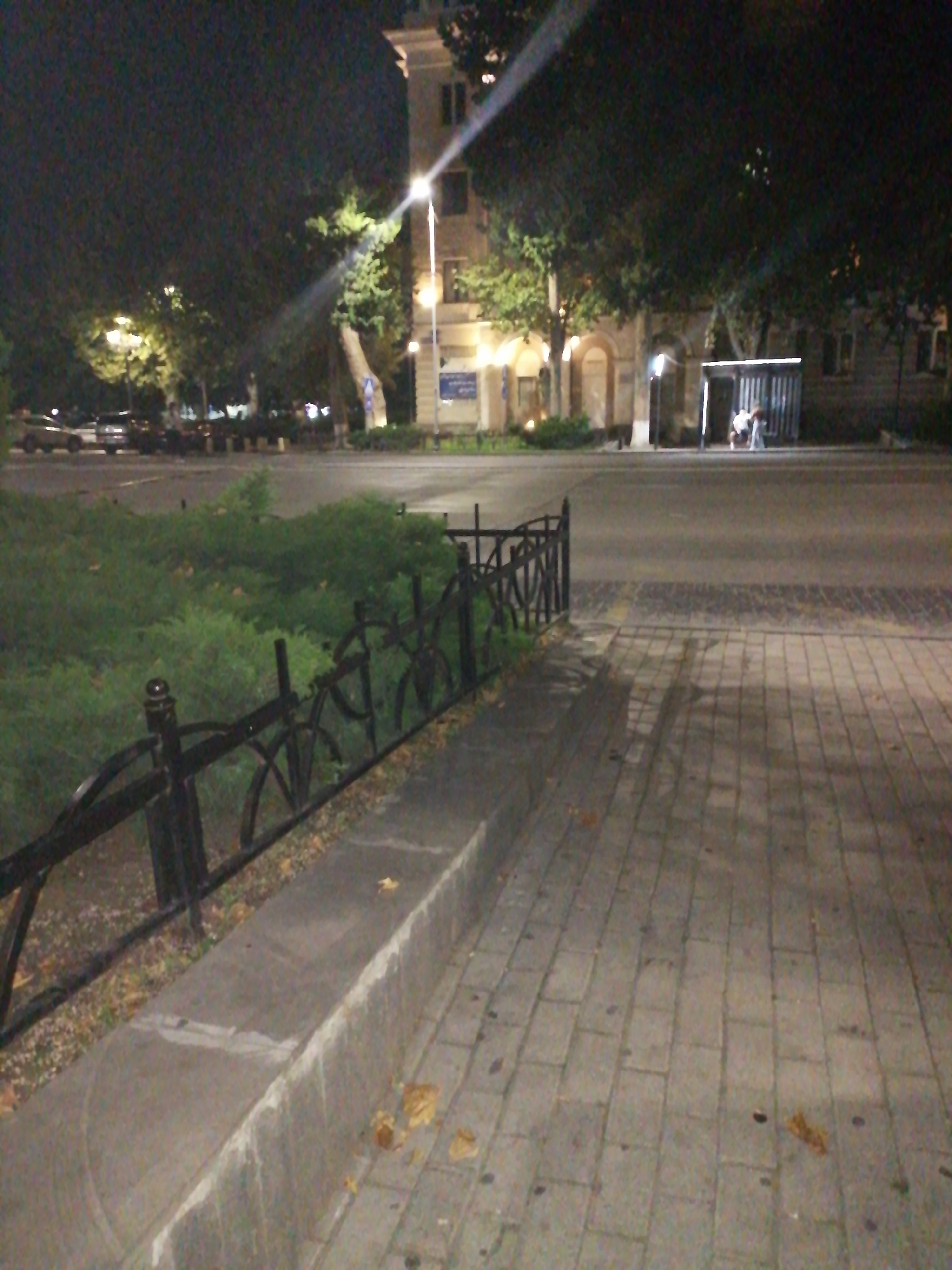 The image depicts a nighttime scene in Rustavi, Georgia, focusing on a sidewalk adjacent to a street. A black wrought-iron fence separates the sidewalk from a landscaped area with dense green bushes. The sidewalk is paved with light-colored rectangular stones, and fallen leaves are scattered across it. To the left, a concrete structure, possibly a raised planter or barrier, runs along the edge of the sidewalk. In the background, across the street, there are buildings with illuminated windows and streetlights. A tall, light-colored building with an arched entrance is visible on the left. On the right side of the street, a person is crouched down near a structure that appears to be a bus stop shelter, with a white trash bin next to it. Several vehicles are parked or moving on the street in the distance. The lighting suggests it is after dark, with artificial lights illuminating the scene.