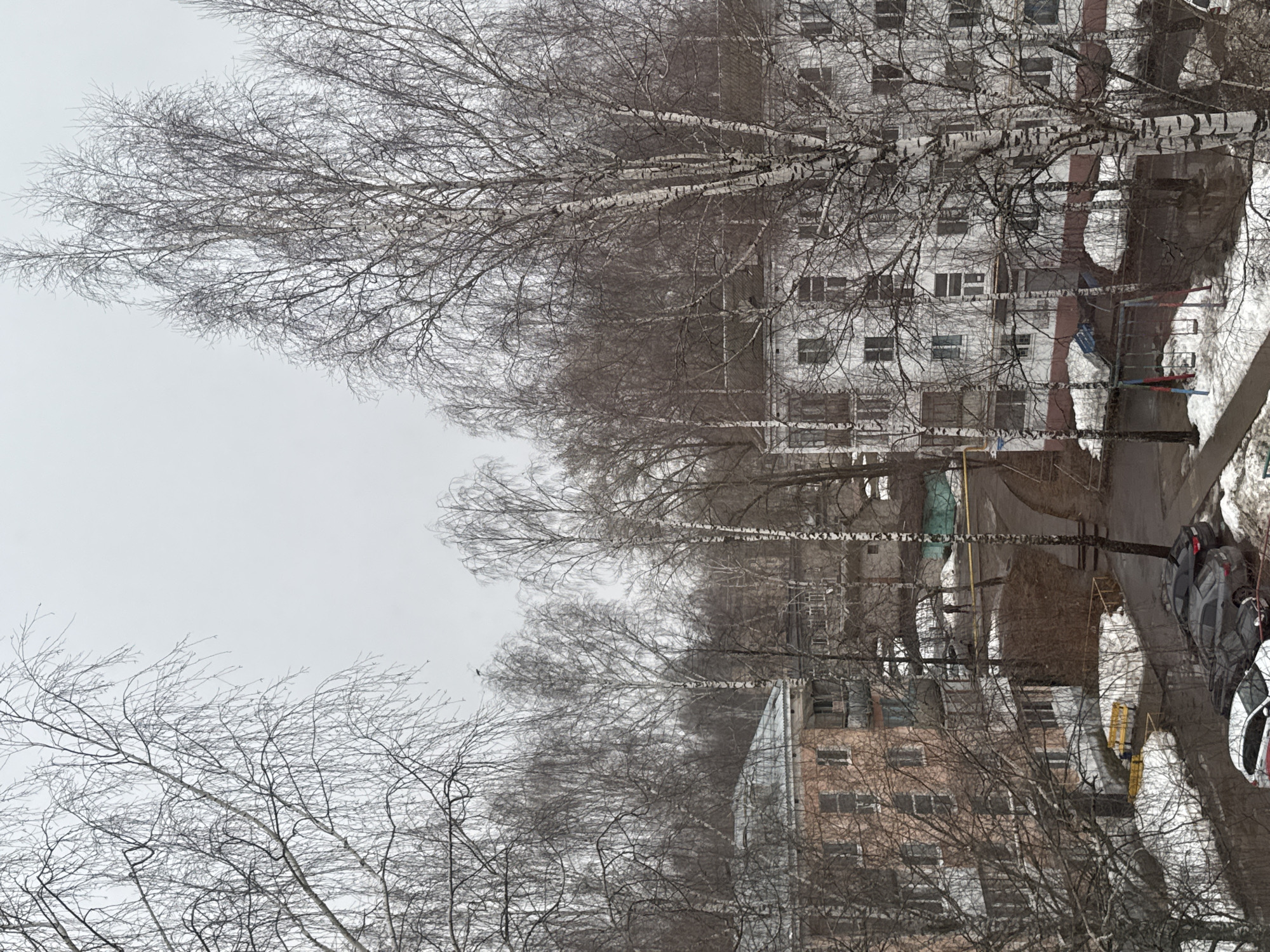 The image captures a winter scene in Chaikovsky, Russia, depicting a view from an elevated position, possibly a high-rise building. Several birch trees, bare of leaves, dominate the foreground, their stark white trunks and intricate branches reaching across the frame. Behind the trees, two multi-story residential buildings are visible, one white and one reddish-brown, suggesting typical Soviet-era apartment blocks. A road runs between the buildings with parked cars along the side. A snow-covered playground is also visible. The sky is overcast, contributing to the overall bleak and cold atmosphere. The absence of people and action focuses attention on the architectural and natural elements of the urban landscape.