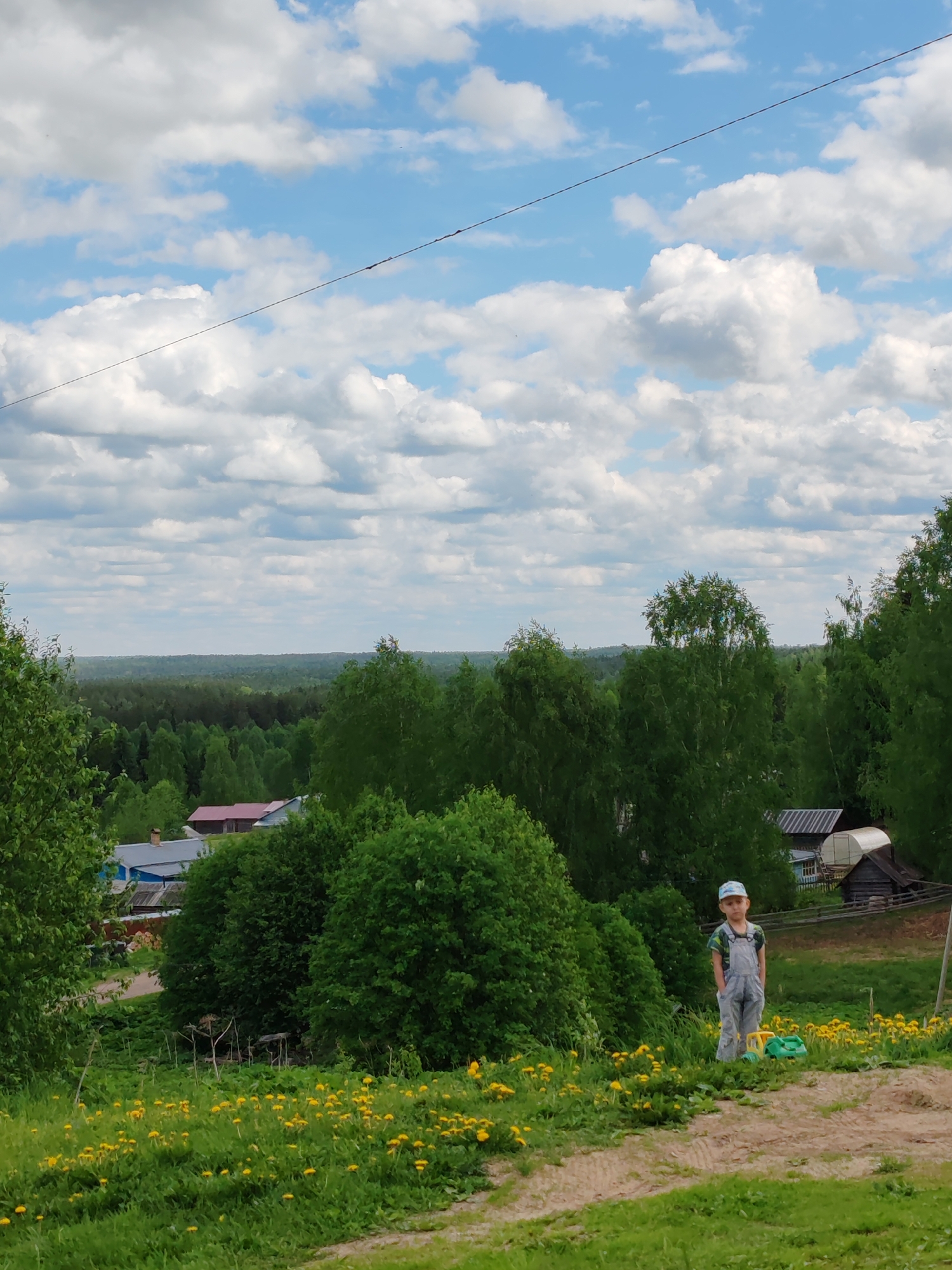 A child stands in a field of dandelions in Чухлэм, Russia. The child wears a blue and white patterned baseball cap, overalls, and a t-shirt, with his hands in his pockets. A green plastic toy truck is next to him. Behind him are some trees and houses. In the distance is a line of trees under a blue and cloudy sky. A power line cuts across the upper part of the image.