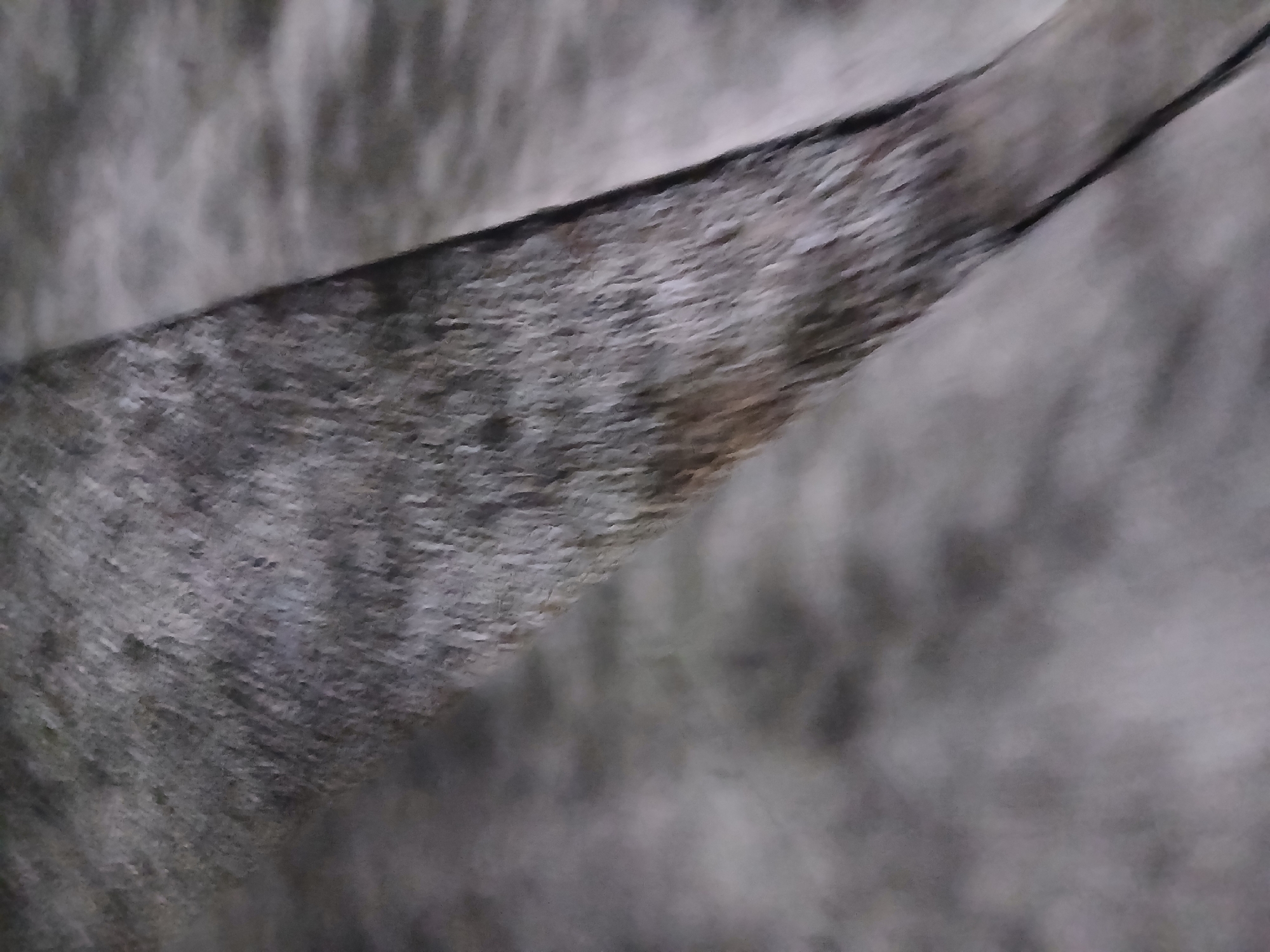 The image displays a close-up, blurred view of a gray, furry surface, possibly a tail or a rug. The texture suggests animal fur, with variations in gray tones and some darker strands. A darker, diagonal line bisects the frame, creating a sharp contrast with the softer, textured area. The background is out of focus and appears to be a mottled gray and white surface. There is no identifiable context relating to Santa Ana, Venezuela.