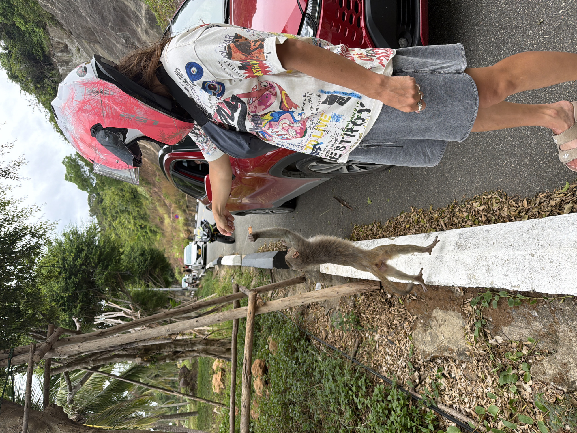 In Đà Nẵng, Vietnam, a person wearing a pink motorcycle helmet and a white graphic t-shirt with denim shorts stands by a red car, feeding a monkey. The monkey is standing on its hind legs on a white concrete barrier, reaching up for a piece of food held by the person. The background shows a road with other vehicles, lush green trees, and a rocky hillside. Wooden posts and railings are visible on the left side of the image, with dry leaves and vegetation on the ground.
