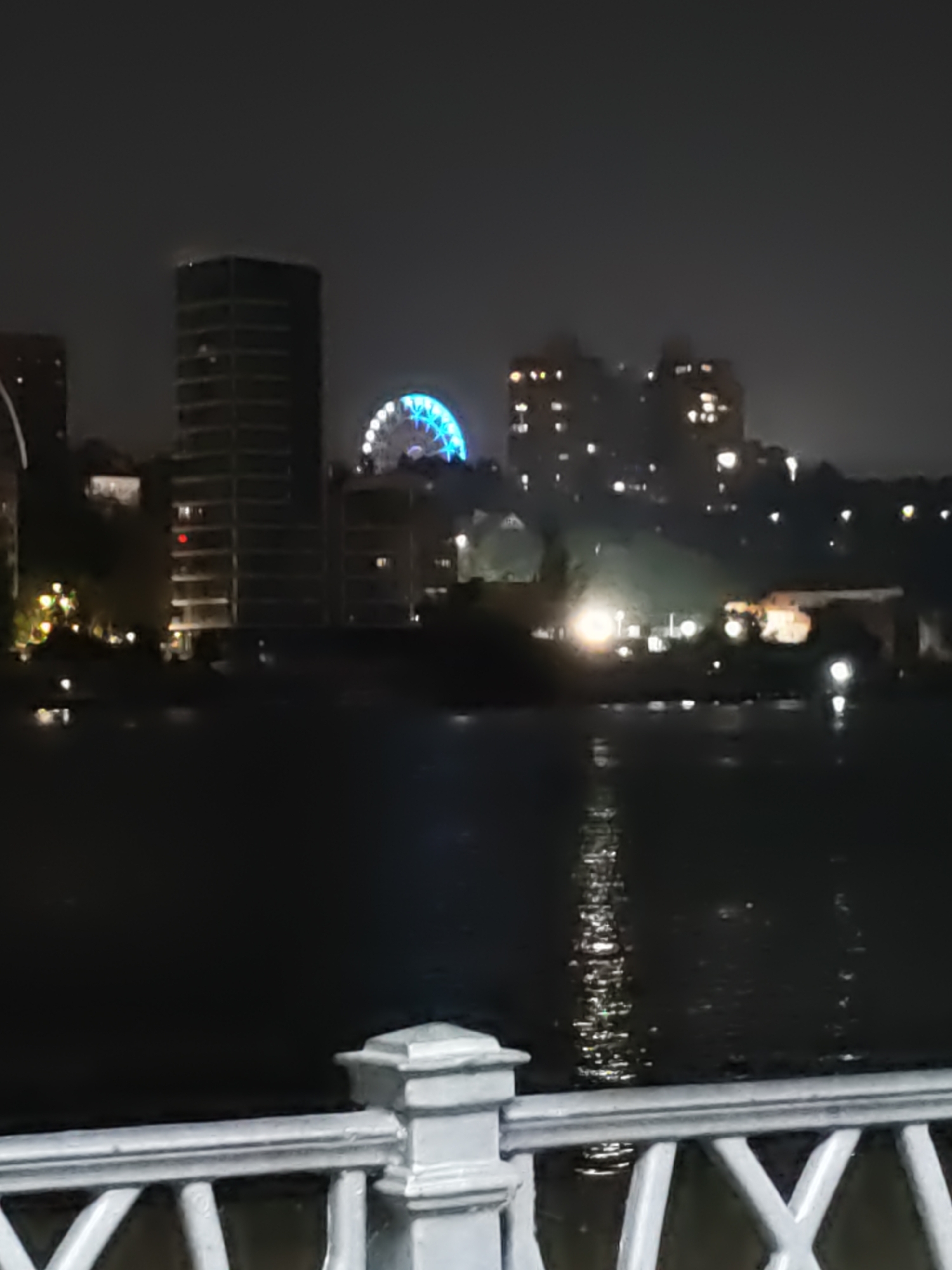 The image depicts a nighttime view of the Don River embankment in Rostov-on-Don, Russia. In the background, a Ferris wheel with blue illumination is visible, along with several illuminated buildings and streetlights. The water of the river reflects the lights from the city. In the foreground, a white railing with decorative posts is present, suggesting a viewpoint overlooking the river. The overall scene is characterized by darkness, illuminated city lights, and reflections on the water, creating a nighttime urban landscape. There are no people or specific actions captured in the image.