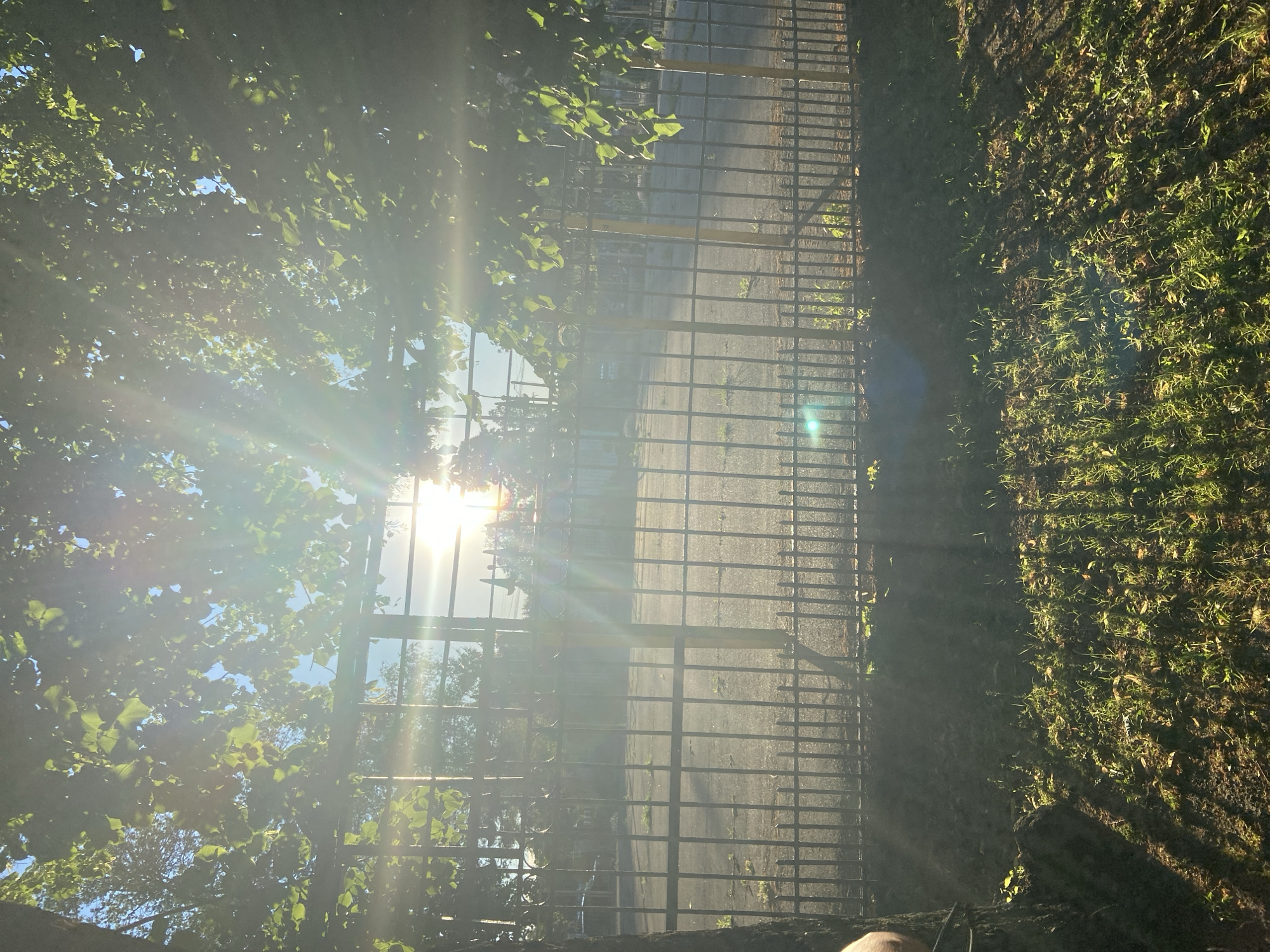 The image depicts an outdoor scene in what appears to be a rural or suburban setting in Nyzhni Mlyny, Ukraine. The perspective is from behind a metal fence, looking through it and past some leafy green trees towards a sunlit area.
The primary subjects are the natural elements: lush green foliage of trees with sunlight filtering through, casting bright rays and lens flare across the image. The fence itself, composed of dark metal bars, runs vertically down the right side of the frame. Beyond the fence, a paved surface, possibly a road or pathway, is visible, with shadows cast upon it. To the far right, a grassy area with scattered leaves and soil is also present.
The time of day is clearly indicated by the bright sunlight and pronounced lens flare, suggesting it is mid-morning or late afternoon. The weather appears to be sunny and clear, given the intensity of the light. There are no specific events or activities captured, the scene is static.
Notable details include the strong contrast between the sunlit areas and the shaded parts of the fence and ground. The vibrant green of the leaves and grass indicates a temperate season, likely spring or summer. The presence of the fence suggests a boundary or enclosure. There is no visible text in the image. The overall mood evoked is one of a peaceful, sun-drenched day.