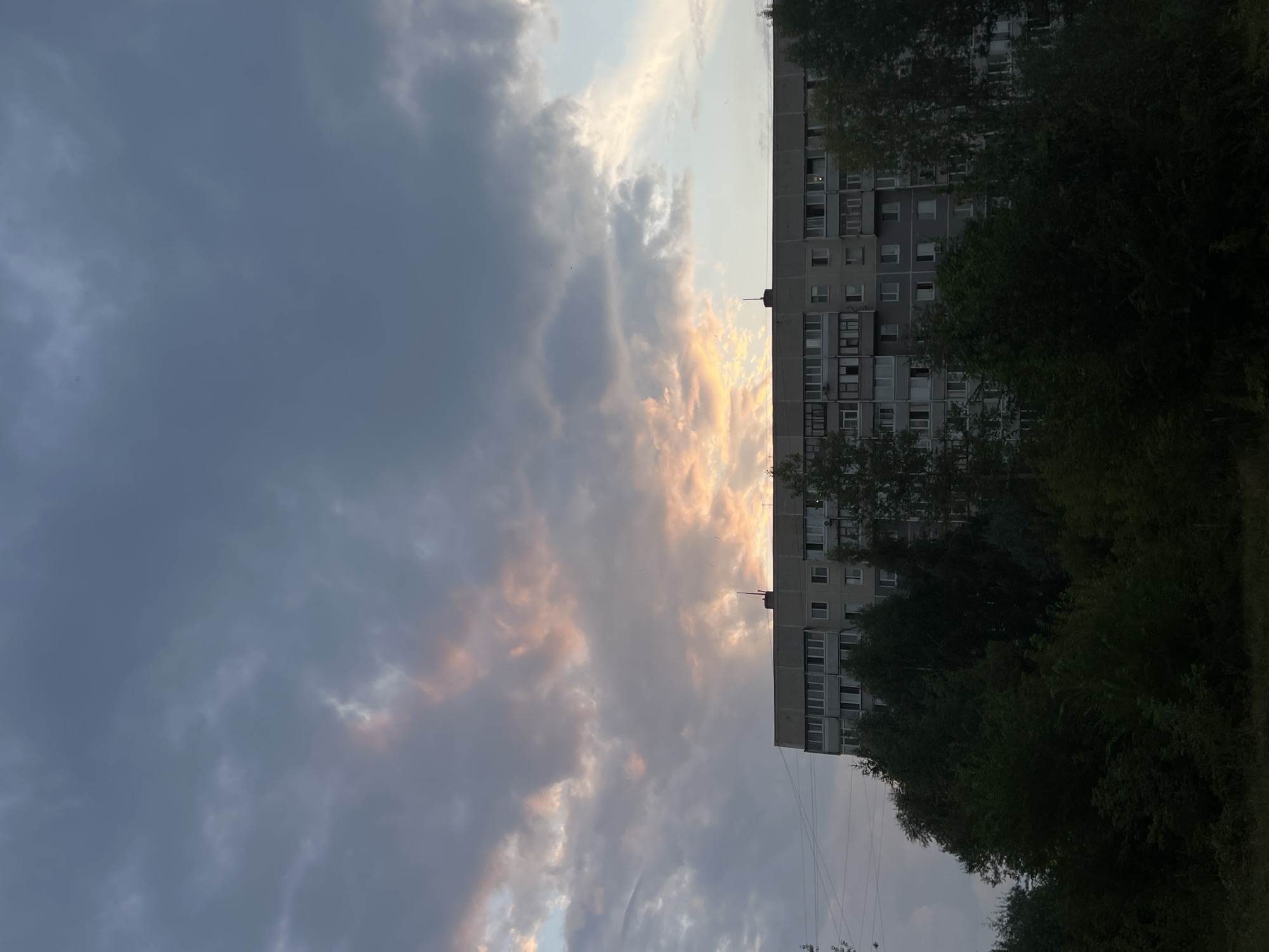 The image depicts a multi-story apartment building in Ulyanovsk, Russia, at dusk. The sky is filled with dramatic, dark clouds tinged with the soft hues of sunset, predominantly pink and orange, breaking through the grey. The building itself is a typical Soviet-era residential block, constructed from concrete with numerous windows. In the foreground, dense, dark green trees and foliage obscure the lower portion of the building, creating a stark contrast between the urban structure and the natural elements. The overall scene suggests an evening in a residential area of the city, with the natural light fading and the sky offering a striking visual display.