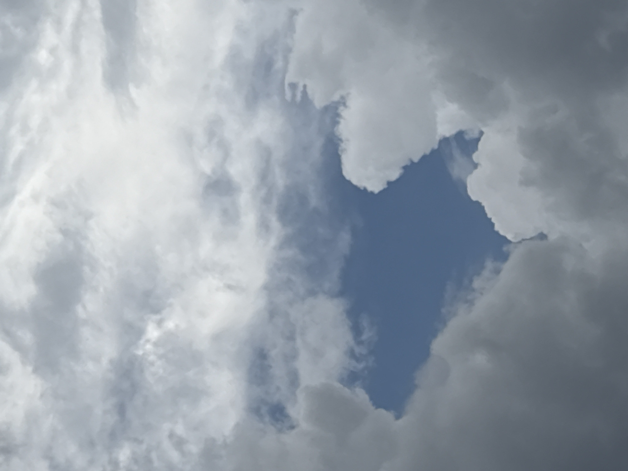 The image displays an atmospheric scene, with a primary focus on an extensive cloud formation and a central clearing of blue sky. This view is situated over Plovdiv, Bulgaria, as specified.
The majority of the frame is occupied by clouds, which exhibit a range of tones from bright white to dense, dark grey. The cloud cover is varied, with heavier, more opaque grey clouds dominating the lower and outer edges of the composition. These clouds appear thick and somewhat diffuse. In contrast, patches of brighter white clouds are visible, particularly in the upper and mid-sections, suggesting areas where light is reflecting more intensely or where the cloud density is less.
Centrally located, and slightly towards the lower half, an irregular opening within the cloud mass reveals a distinct patch of clear, medium-blue sky. This blue sky segment is framed entirely by the surrounding clouds, creating a natural window effect. The edges of the cloud framing this opening are uneven and undulating, providing texture to the boundary between the cloud cover and the clear sky.
The lighting suggests a daytime scene, with sunlight indirectly illuminating the clouds, causing the variation in brightness and shadow. There are no discernible people, animals, objects, or structures within the image. The scene is purely a depiction of sky and cloud formations. No actions or interactions are taking place.
