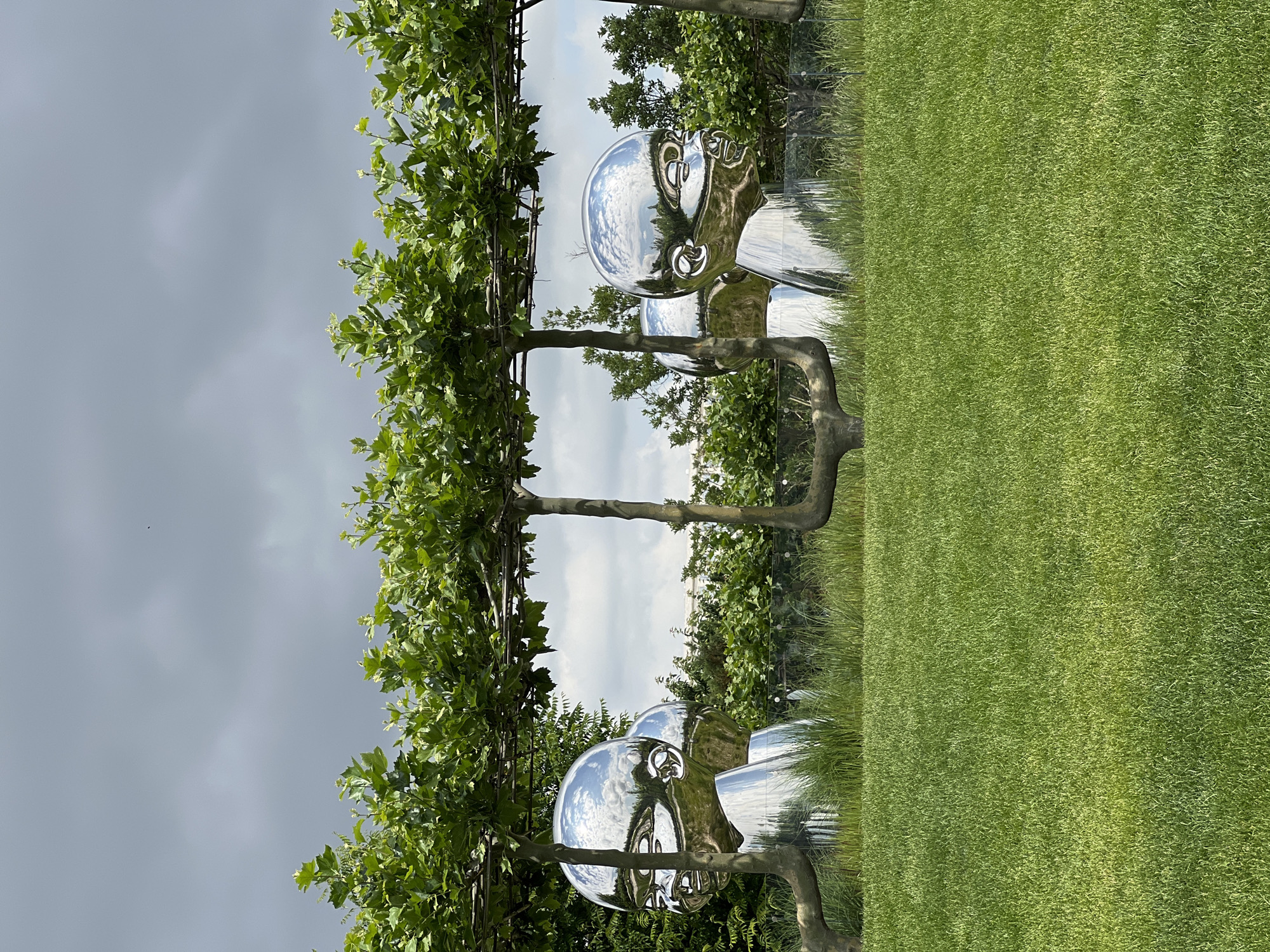 The image shows a garden with polished silver sculptures of large baby heads. These sculptures are positioned behind a row of manicured trees with branches trained horizontally above them, creating a canopy. In the foreground, there is a well-maintained green lawn. In the background, lush greenery and a cloudy sky are visible. The sculptures reflect the surrounding environment, including the sky and foliage. The overall scene depicts an outdoor art installation in a garden setting. The location is the City of Krasnodar, Russia.